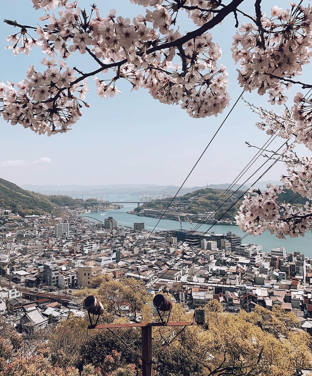 三浦大地のインスタグラム