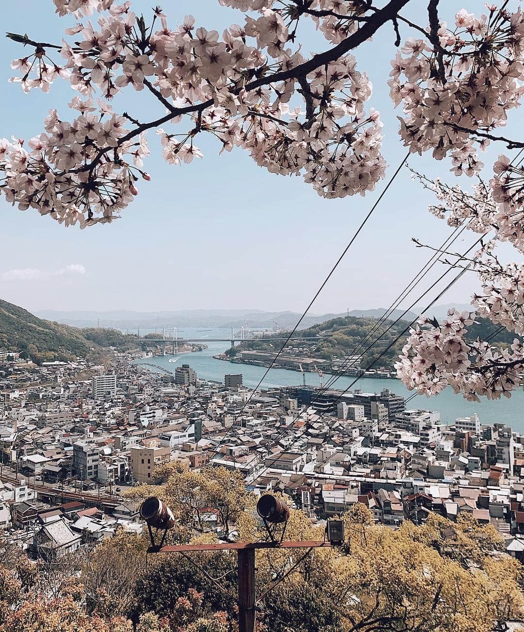 三浦大地さんのインスタグラム写真 - (三浦大地Instagram)「山と海と島々、桜も満開で気候も気持ち良い。  また好きな街が出来た。  #尾道 #広島」4月9日 9時54分 - daichi_1127