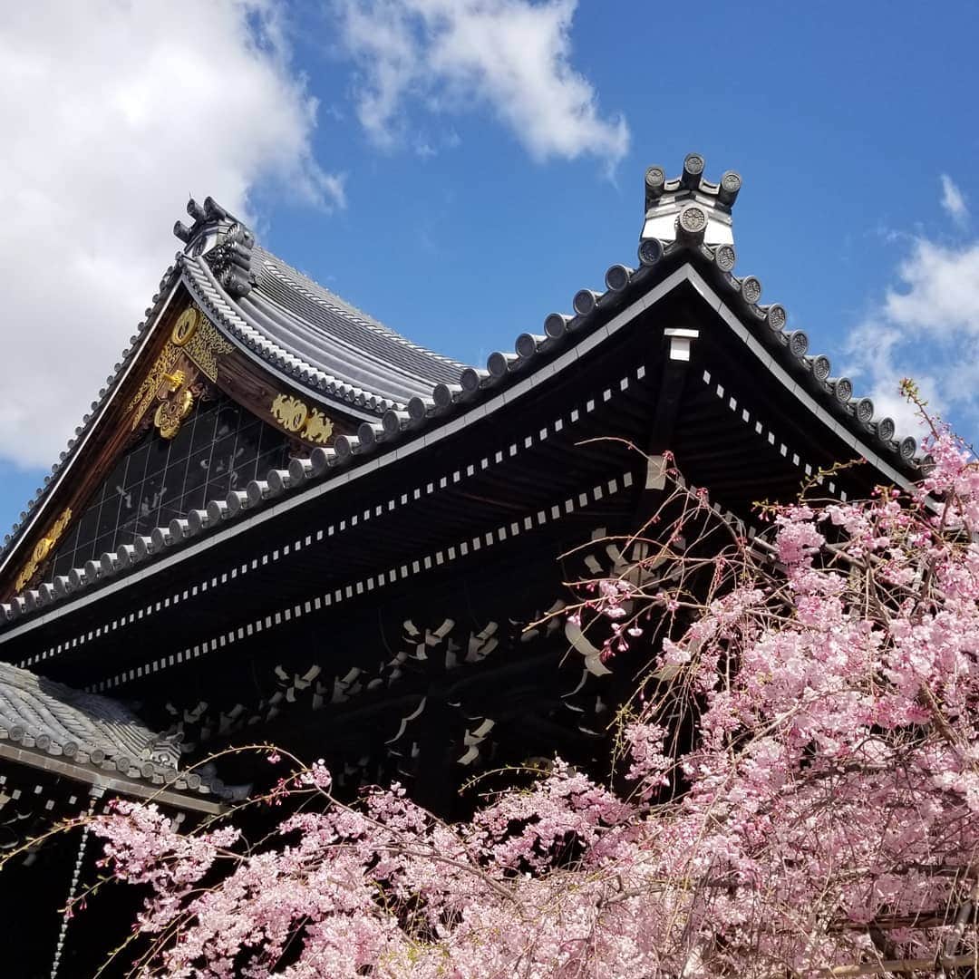 慶元まさ美のグルメインスタ