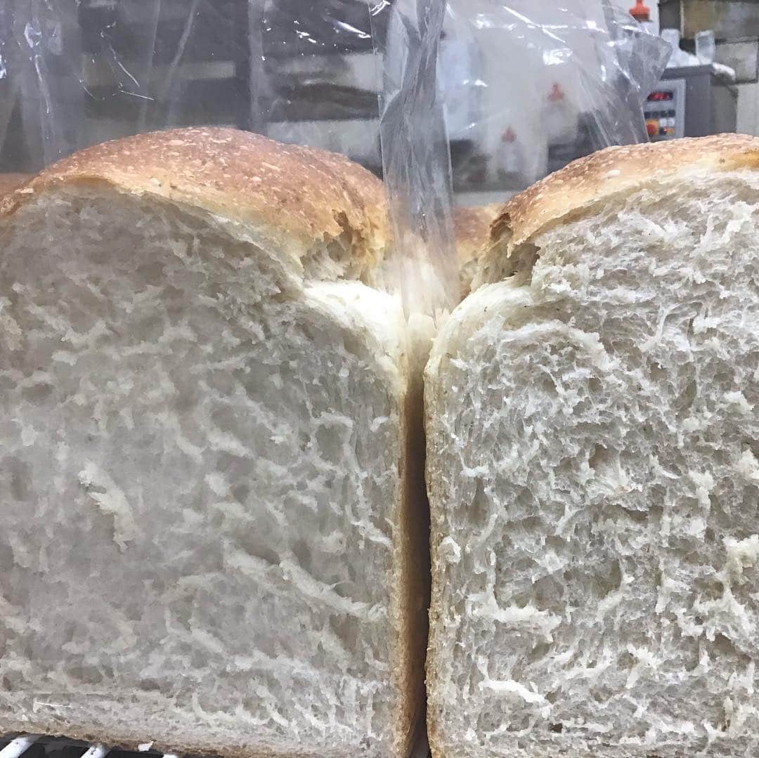 魔女菅原さんのインスタグラム写真 - (魔女菅原Instagram)「ゆきちから山食♪ 毎日出しているのですが、日によって顔立ちが違うというか…。きょうもいいお顔に焼けました。油断しないで、この状態を維持したいです✨  #ゆきちから山食 #レーズン酵母のみで焼き上げる山食 #イースト不使用 #のだ塩を使っています #自家製天然酵母のパン屋さんカンパーニュ #魔女菅原」4月9日 10時00分 - hatsuyosugawara