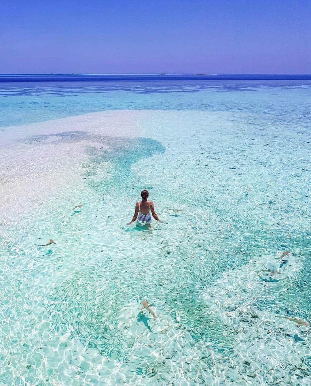 Maldivesさんのインスタグラム写真 - (MaldivesInstagram)「The Maldives Islands #Maldives  Photo @kirsty_and_neve_travels」4月9日 4時40分 - omaldives