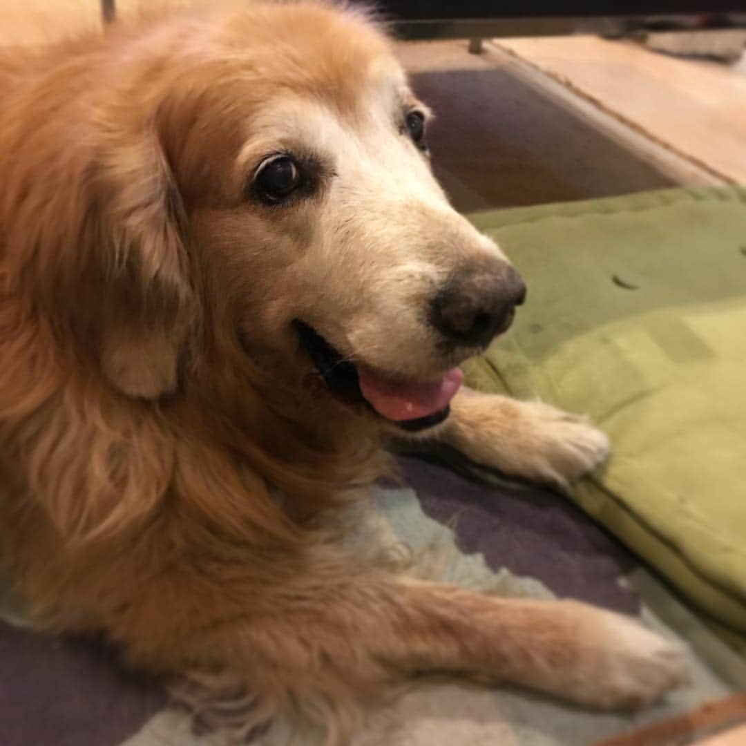 Hoykong&Plamuekのインスタグラム：「Hello! #hoykong」