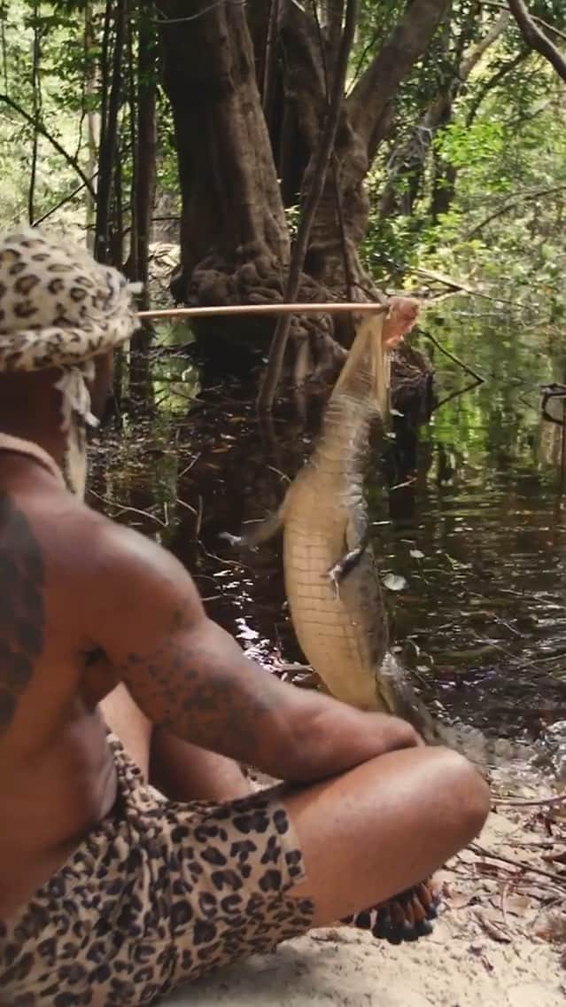 WildLifeのインスタグラム：「Via @therealtarzann Sometimes you gotta sit in the passenger seat 🐊 @yoventura 👑 Jungle Queen」