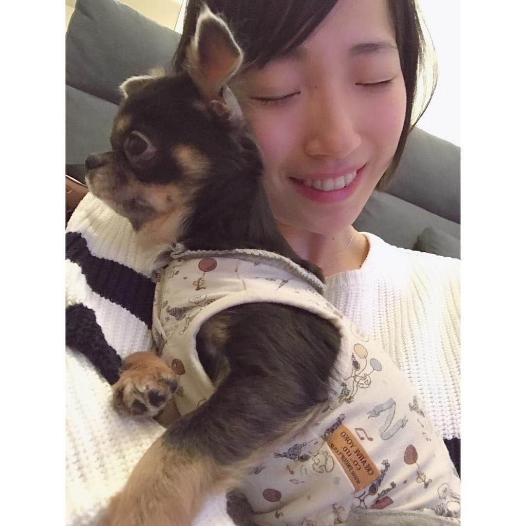 有明ゆなさんのインスタグラム写真 - (有明ゆなInstagram)「おはよう！ なんかまだ眠い(( _ _ ))..zzzZZ . . . . #有明ゆな #ちっぱい #シンデレラバスト #愛犬 #ちわわ #ちわわせ #ちわわん #チワワ #チワワちゃん #チワワラブ #チワワ大好き #チワワ多頭飼い #dog #ilovemydog」4月9日 7時17分 - ariake_yuna