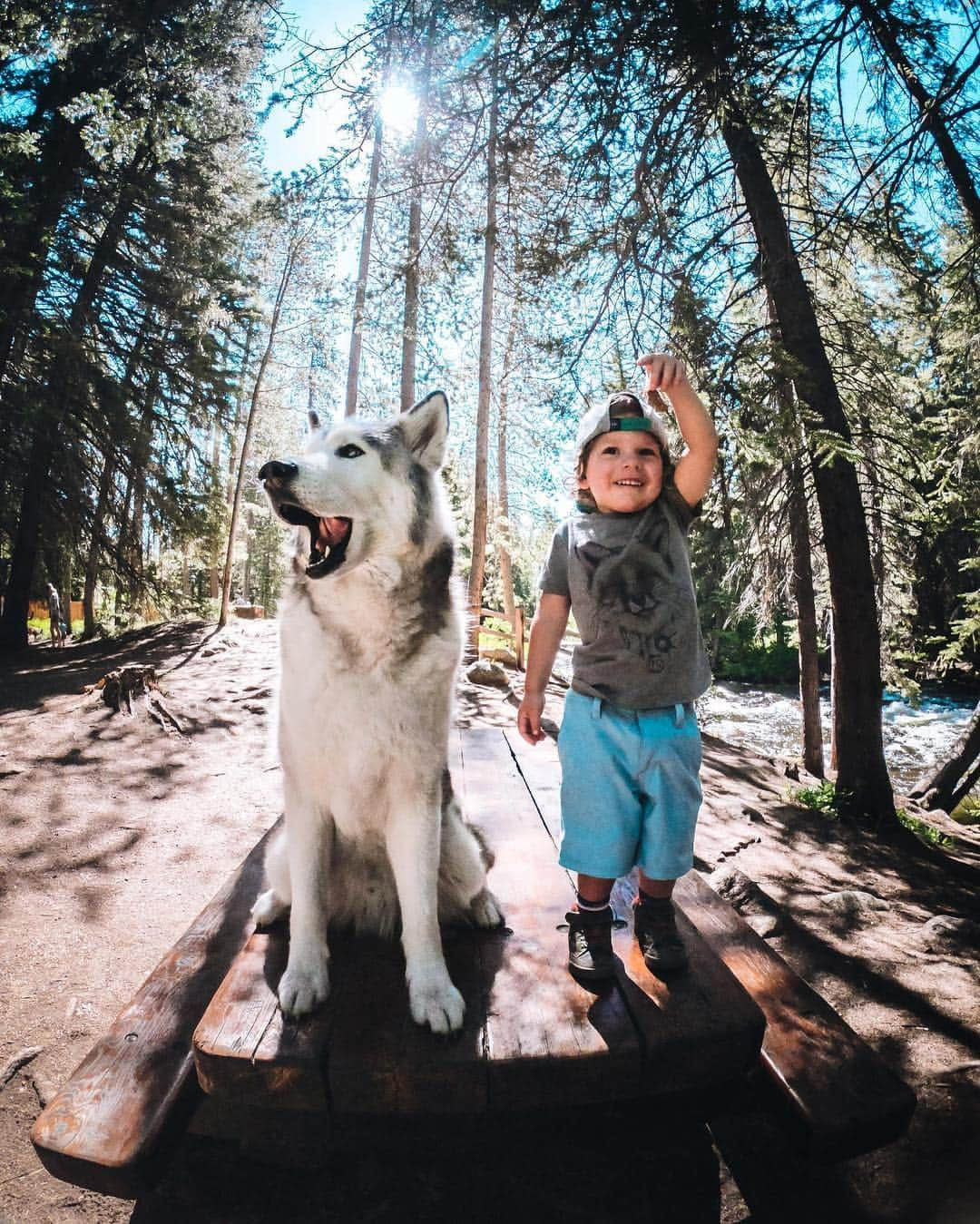 goproさんのインスタグラム写真 - (goproInstagram)「Want to snag a free trip to the #GoProMtnGames in June? 🌲 Be our VIP + experience @VailMTN alongside #GoProFamily members like @loki. 📷 @sharktoof • Tap the link in our bio to learn how. • • • @MountainGamesVail @VVFoundation @vanthuynee #GoPro #GoProAwards #Vail #Dogstagram」4月9日 7時46分 - gopro