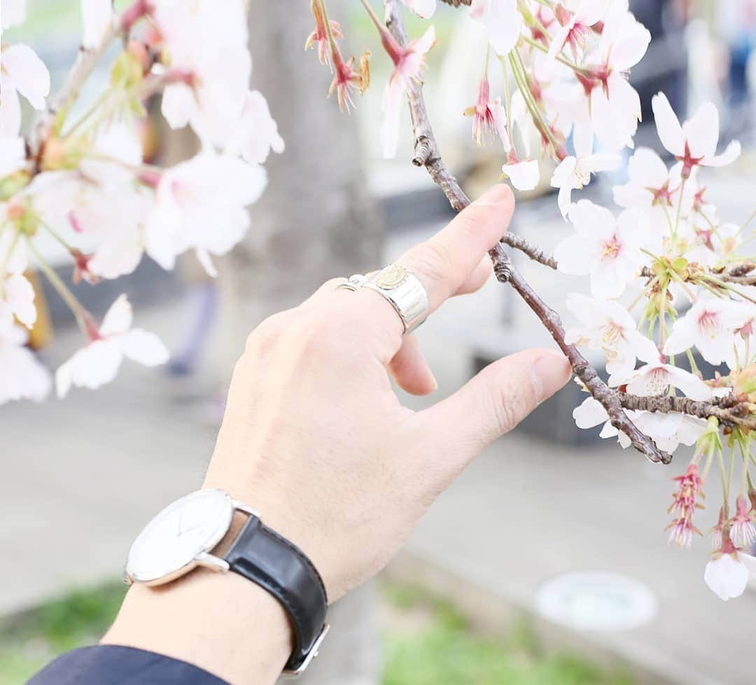 ひっちさんのインスタグラム写真 - (ひっちInstagram)「春感満載🍃🌸🐝🌸🍃﻿ ﻿ Ring→ @sbg_accessory﻿ ﻿ ┈┈┈┈┈┈┈┈┈﻿ ﻿  #fashion #ring #silver#acces #silveraccessory #silver925 #シルバー #シルバー925 #シルバーアクセサリー #シルバーアクセ #アクセサリー #シルバーリング#リング #ピンキーリング #ストーンリング #ピアス  #ブレスレット #バングル #韓国ファッション #お洒落さんと繋がりたい #アクセサリー好きさんと繋がりたい #ユニセックスアクセサリー #手元倶楽部 #手元くら部 #大人カジュアル #花見 #古着男子 ﻿#いいね返し ﻿ ﻿」4月9日 7時46分 - hicchiwear