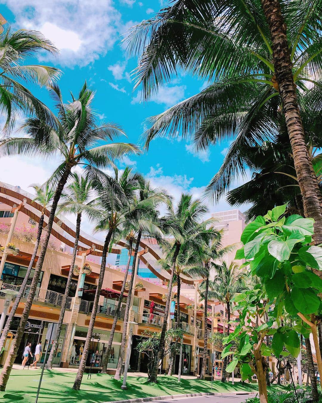 蜂矢有紀さんのインスタグラム写真 - (蜂矢有紀Instagram)「🐬🌴 ・ ハワイに来て早くも10日🥺🌺 Hawaiiの絶景🏖気候🌞空気感 全てが大好き幸せすぎて ずーーっと居たい🥴💙w ・ #ハワイ #ホノルル #ワイキキ #春休み #家族旅行 #👨‍👩‍👧 #🌺 #hawaii #honolulu #waikiki #spring #vacation #america #usa #resort #aloha #mahalo #skyblue」4月9日 7時52分 - yuki.h1218