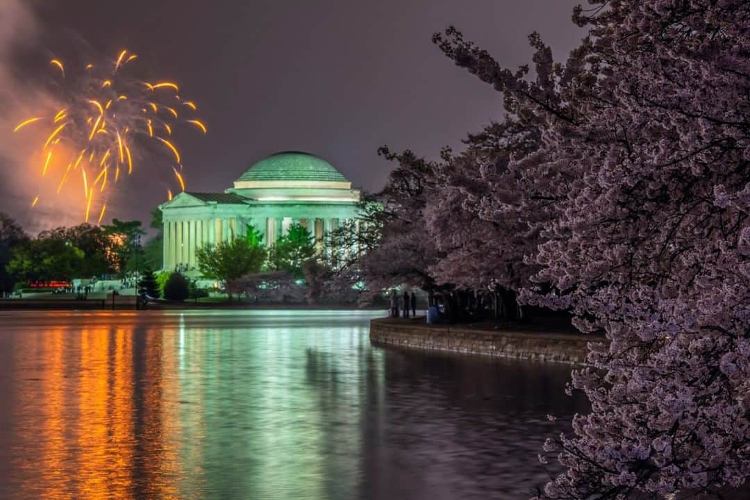 ナショナルジオグラフィックさんのインスタグラム写真 - (ナショナルジオグラフィックInstagram)「Photo by @babaktafreshi | Photographed at the Jefferson Memorial and Tidal Basin, fireworks mark the National Cherry Blossom Festival on April 6 in Washington, D.C. More than 1.5 million visitors descend on the U.S. capital each year to admire the 3,000-plus blossoming trees that were first planted in 1912. A gift of friendship from the people of Japan, the trees are from Yokohama. Follow me @babaktafreshi for more on the world at night. #washingtondc #cherryblossom #nightphotography」4月9日 8時02分 - natgeo