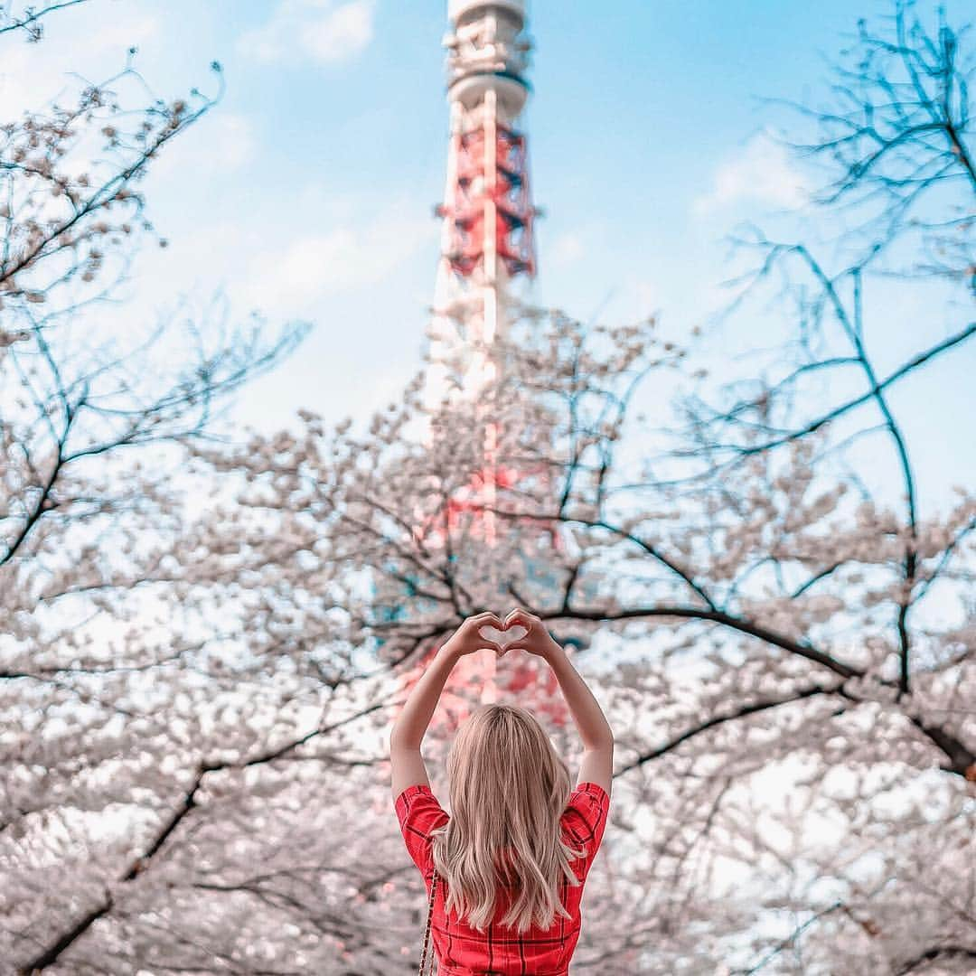 Stella Leeさんのインスタグラム写真 - (Stella LeeInstagram)「東京、愛している💖 . Sakura and Tokyo Tower, my favorite icons that represent Japan so well. I know Tokyo has Sky Tree now but I prefer Tokyo Tower because it is more beautiful in my opinion. How about you? Do you prefer Tokyo Tower or Tokyo Sky Tree?」4月9日 19時04分 - stellalee92