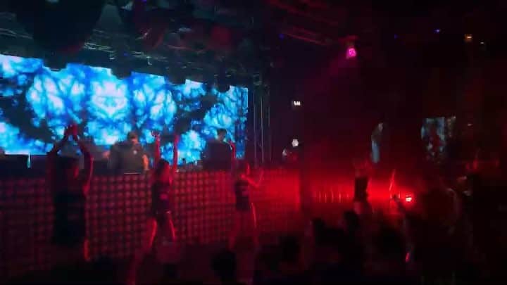 Chieのグルメインスタ