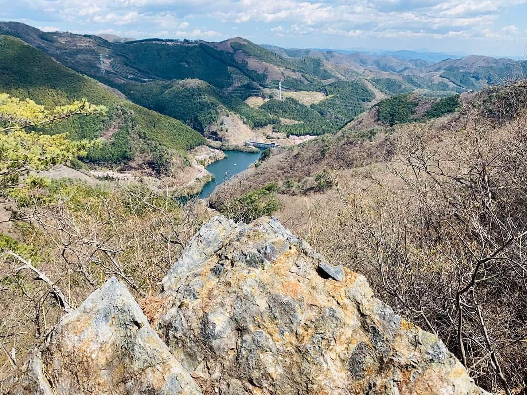 サトウヒロコさんのインスタグラム写真 - (サトウヒロコInstagram)「⛰ 【山が教えてくれること】 ‪何のために生きるかなんて‬ ‪わからなくたっていいじゃないの。‬ ‪歌っていても、歌っていなくても、勝負していても、勝負していなくても、君がいいなら何でもいいさ。  仕事はして欲しいけど、かじれるスネがあるならかじればいい。‬ 仕事も選ばなきゃいくらでもあるさね。  私は今ここで生きていますよ。 私はジプシーのようで 旅をして根を生やさぬうちにまた次の町に旅をして生きてきました。 旅をするように生きて、今はもう10年、この家は8年も暮らしています。 今年はこの町で土をまた耕すところから始めます。 せっせと働きましょう。  まっすぐ伸びた杉の木のように 私はこれからも ずっとまっすぐ生きるのだと思う。 正確には、まっすぐ生きさせてもらうんです私。 まっすぐな杉も唐松も、人が手入れしたものでしょう？ 人に委ね信じられるから、まっすぐ生きられるわけです。はい。 ぶつかりながら、交じり合いながら。 枝を落としてもらったりして、まっすぐ生きていきます。 ‪と、、気づいたら まあるくなりました。‬ まあるくなったら執着心がなくなり、美しいものがより美しく見えるようになりましたとさ。 ‪ 風が吹けば衣が剥がれぬようにすればいい。‬ 雨が降れば雨宿りを。 木の枝は手すりになり、 木の根は階段になる。 落ち葉と石で水は浄化されて、透明より透明な水を運ぶでしょう。 そんな水でじゃぶじゃぶと足で遊んで、とても清らかになって帰ってまいりましたとさ。  すみません。 オフでした（笑）  明日からまたお仕事頑張ります。 とくに、曲書きます。 書かせてください。 取り急ぎ書くので。  あ、 今夜7:30〜 CRT栃木放送『サトウヒロコ de  SHOW Neo!』 ゲストは永井 塁さん。  聞いてね♪  #サトウヒロコ #今日はお二人様 #山ガール #足利 #仙人が岳 #山登り #足利学校 #古印最中 #ゼンマイ #ヤシオツツジ #カタクリ」4月9日 17時53分 - satohiroko1208