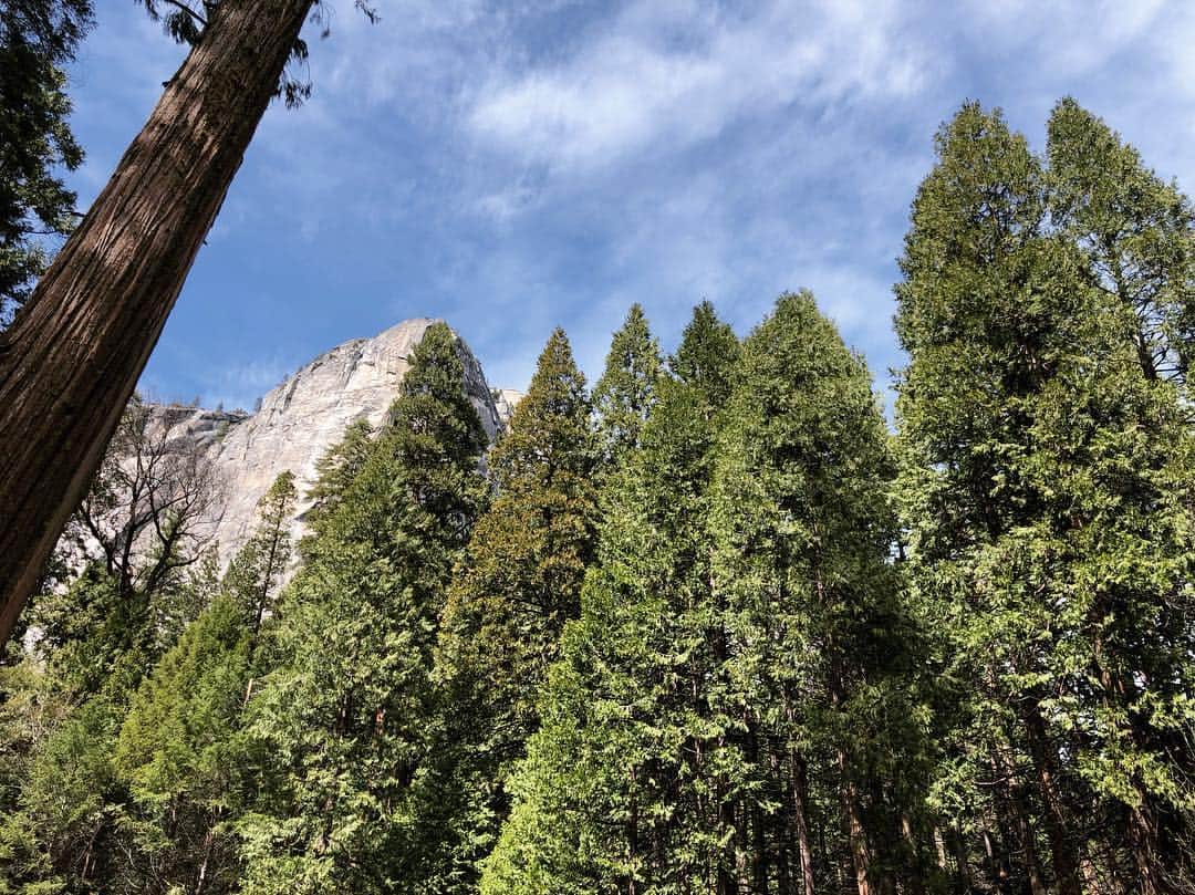 虎牙光揮さんのインスタグラム写真 - (虎牙光揮Instagram)「I went to the Yosemite National Park🏞 There was awesome!!! #yosemite #yosemitenationalpark #trip #california #usa」4月9日 17時48分 - mickeykoga