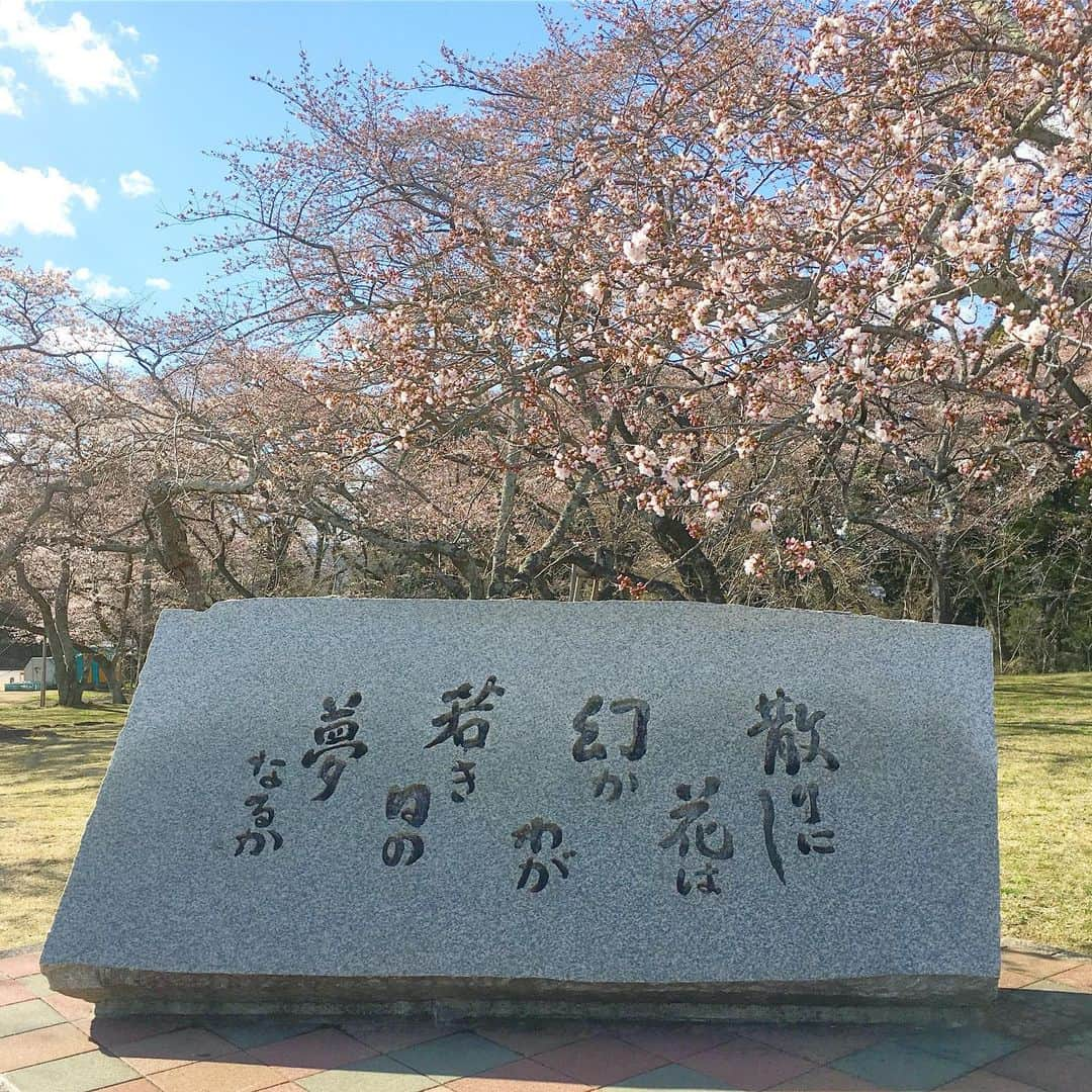 bon ponさんのインスタグラム写真 - (bon ponInstagram)「近場の公園にお花見に行ってきました🌸🌸🌸 満開には少し早く七分咲きくらいでした。 お天気は良かったのですが、風が強く寒くて早々に退散しました😅😅 また満開になったらリベンジしたいと思います👍 ・ #三神峯公園 #お花見 #桜 #夫婦 #60代 #ファッション #コーディネート #リンクコーデ #夫婦コーデ #グレイヘア #白髪 #共白髪 #couple #over60 #fashion #coordinate #instafashion #instagramjapan #greyhair #bonpon511」4月9日 18時05分 - bonpon511