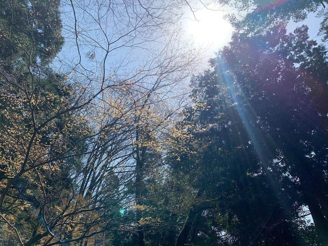 麻亜里さんのインスタグラム写真 - (麻亜里Instagram)「白山比咩神社⛩ 入った瞬間に心が浄化される感じ。 1枚目の写真右端に虹が…🤭🤭🌈 友達とおみくじが全く同じ内容だったというのも奇跡。 金沢駅から少し離れているけど行く価値ありです✨恋のパワースポットで有名みたい💕 . #金沢 #金沢旅行 #神社 #白山比咩神社 #御朱印 #御朱印巡り #御朱印集め #神社巡り #パワースポット #パワースポット巡り #パワースポット神社」4月9日 18時19分 - maari.0108