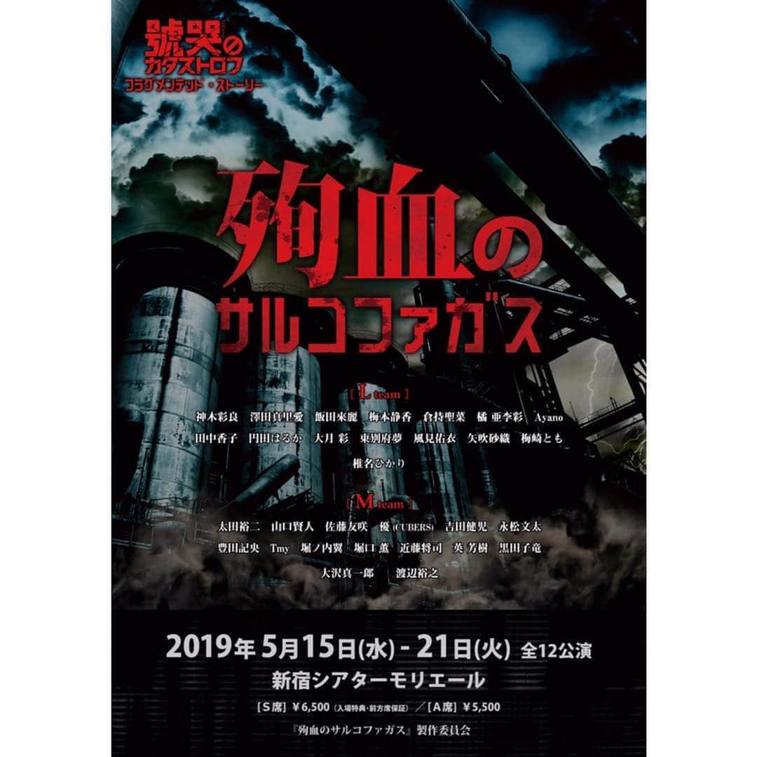 梅本静香のインスタグラム：「✨お知らせ✨﻿﻿ ﻿﻿ 約二年ぶりの舞台に出演します！﻿﻿ ﻿﻿ みなさんと久しぶりに直接お会い出来る機会で嬉しいです☺️﻿﻿ 久しぶりの舞台気合い入ってますので、是非観に来て下さい😆✨﻿﻿ 今回の役柄は今まで私が挑戦したことないような性格かも…😁﻿﻿ ーーーーーーーーーーーーーーーーーーーーー﻿﻿ 【タイトル】﻿﻿ 「 #殉血のサルコファガス 」﻿﻿ ﻿﻿ 【脚本・演出】﻿﻿ #野元準也﻿﻿ ﻿﻿ 【会場】﻿﻿ #シアターモリエール﻿﻿ 〒160-0022 東京都新宿区新宿3-33-10 モリエールビル2F﻿﻿ ﻿﻿ 【日程】﻿﻿ 2019年5月15日(水)〜5月21日(火)﻿﻿ 5月15日(水)19:00(L)﻿﻿ 5月16日(木)19:00(M)﻿﻿ 5月17日(金)14:00(L)/19:00(M)﻿﻿ 5月18日(土)13:00(L)/18:00(M)﻿﻿ 5月19日(日)13:00(M)/18:00(L)﻿﻿ 5月20日(月)14:00(M)/19:00(M)﻿﻿ 5月21日(火)13:00(L)/17:00(L)﻿﻿ ※LがLady only💁‍♀️MがMan only🙋‍♂️の男女別々の公演になりますのでお間違いないようお願いします。﻿﻿ ﻿﻿ 【出演者】﻿﻿ ＜L team＞※出演者は女性のみ﻿﻿ #神木彩良﻿﻿ #澤田真里愛﻿﻿ #飯田來麗﻿﻿ #梅本静香﻿﻿ #倉持聖菜﻿﻿ #橘亜李彩﻿﻿ #ayano﻿﻿ #田中香子﻿﻿ #円田はるか﻿﻿ #大月彩﻿﻿ #東別府夢﻿﻿ #風見佑衣﻿﻿ 矢吹砂織﻿﻿ 梅崎とも﻿﻿ ﻿﻿ #椎名ひかり﻿﻿ ﻿﻿ ＜M team＞※出演者は男性のみ﻿﻿ #太田裕二﻿﻿ #山口賢人﻿﻿ #佐藤友咲﻿﻿ #優 (#cubers)﻿﻿ #吉田健児﻿﻿ #永松文太﻿﻿ #豊田記央﻿﻿ #tmy﻿﻿ #堀ノ内翼﻿﻿ #堀口薫﻿﻿ #近藤将司﻿﻿ 英芳樹﻿﻿ 黒田子竜﻿﻿ ﻿﻿ #大沢真一郎﻿﻿ ﻿﻿ #渡辺裕之﻿﻿ ﻿﻿ 【チケット】﻿﻿ 全席指定席・税込﻿﻿ S席：¥6,500-(入場特典・前方席保証)﻿﻿ A席：¥5,500-﻿﻿ ﻿﻿ 【チケット発売】﻿﻿ 4月15日(月)18:00〜　﻿﻿ ネット予約：‭‭‭confetti-web.com/sarukofagasu‬‬‬﻿﻿ ※予約の際、「梅本静香」扱いを選択してご予約ください。﻿﻿ 電話予約：‭‭‭0120-240-540‬‬‬（平日10:00～18:00）﻿﻿ ﻿﻿ 【あらすじ】﻿﻿ 人類と異星人とアンドロイド３つの勢力が覇権を争う近未来。﻿﻿ ﻿﻿ 人類抵抗軍（レジスタンス）第7基地の司令官はアンドロイドの捕虜となった人々を救出すべく部隊を派遣した。﻿﻿ しかし、帰還中、アンドロイド軍に襲撃され、部隊はバラバラに・・・。﻿﻿ 隊長率いる部隊は救出した市民と共に安全地帯「サルコファガス」に逃込み、はぐれた隊員は荒野に身を潜め、救助を要請した。﻿﻿ しかし、待てども救助は来ない・・・不安になる一同に衝撃の事実が告げられる﻿﻿ 「この中にアンドロイド軍の密偵がいる！」﻿﻿ 情報が漏れて待ち伏せされていたというのだ。﻿﻿ 更に、怪我を負った隊員の様子が急変、身体が異星人にコントロールされ、暴れ始める。﻿﻿ 安全地帯だったサルコファガスは脱出不能の要塞と化した。﻿﻿ 第7基地では指揮官が異様な行動を始める。﻿﻿ 一部の隊員にしか解読できない作戦コード、情報操作、秘密の通信・・・﻿﻿ 荒野で救助を待つ市民は怪我で瀕死の状態に、特殊な血液型故に輸血出来るのはサルコファガスに逃げ込んだ弟しかいない。﻿﻿ 3つの場所で繰り広げられるストーリーが互いに絡み合い、物語は思わぬ方向へ展開していく。﻿﻿ はたして、裏切り者を見つけ出し、無事に帰還できるのか？﻿﻿ 日本製ソリッド・シチュエーションSF。﻿﻿ ﻿﻿ 【公式HP】﻿﻿ ‭‭‭ http://sarcophagus.jp/ ﻿﻿ 【お問い合わせ】﻿﻿ ‭‭‭contact@vacar.co.jp‬」