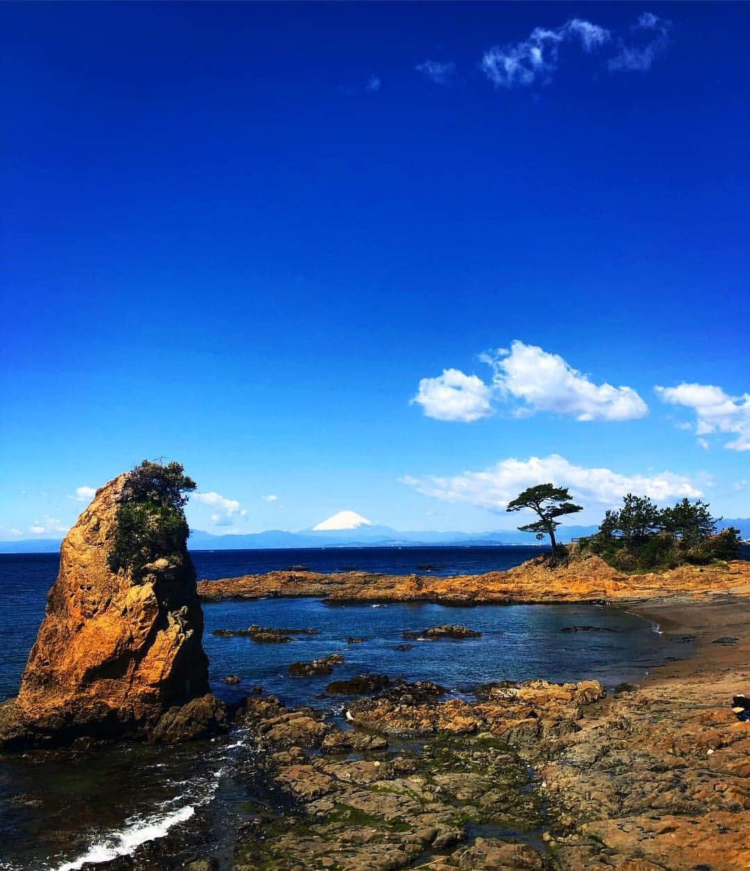 しなしさとこさんのインスタグラム写真 - (しなしさとこInstagram)「. . 富士山が美しい🗻 シー陶器も富士山😊 富士山が好き^ ^ . . #しなしさとこ #satokoshinashi #女子格闘技 #格闘技女子 #ジョシカク #女子アスリート #腹筋女子 #シー玉 #ビーチコーミング #シーグラス #海 #海好き #ビーチコ #砂浜トレーニング#三浦半島 #葉山 #逗子 #横須賀#富士山 #美しい景色 #爽快 #シー陶器 #富士山に見える#朝活 #3時間滞在#青空#富士山が好き#シー玉」4月9日 18時37分 - shinashisatoko