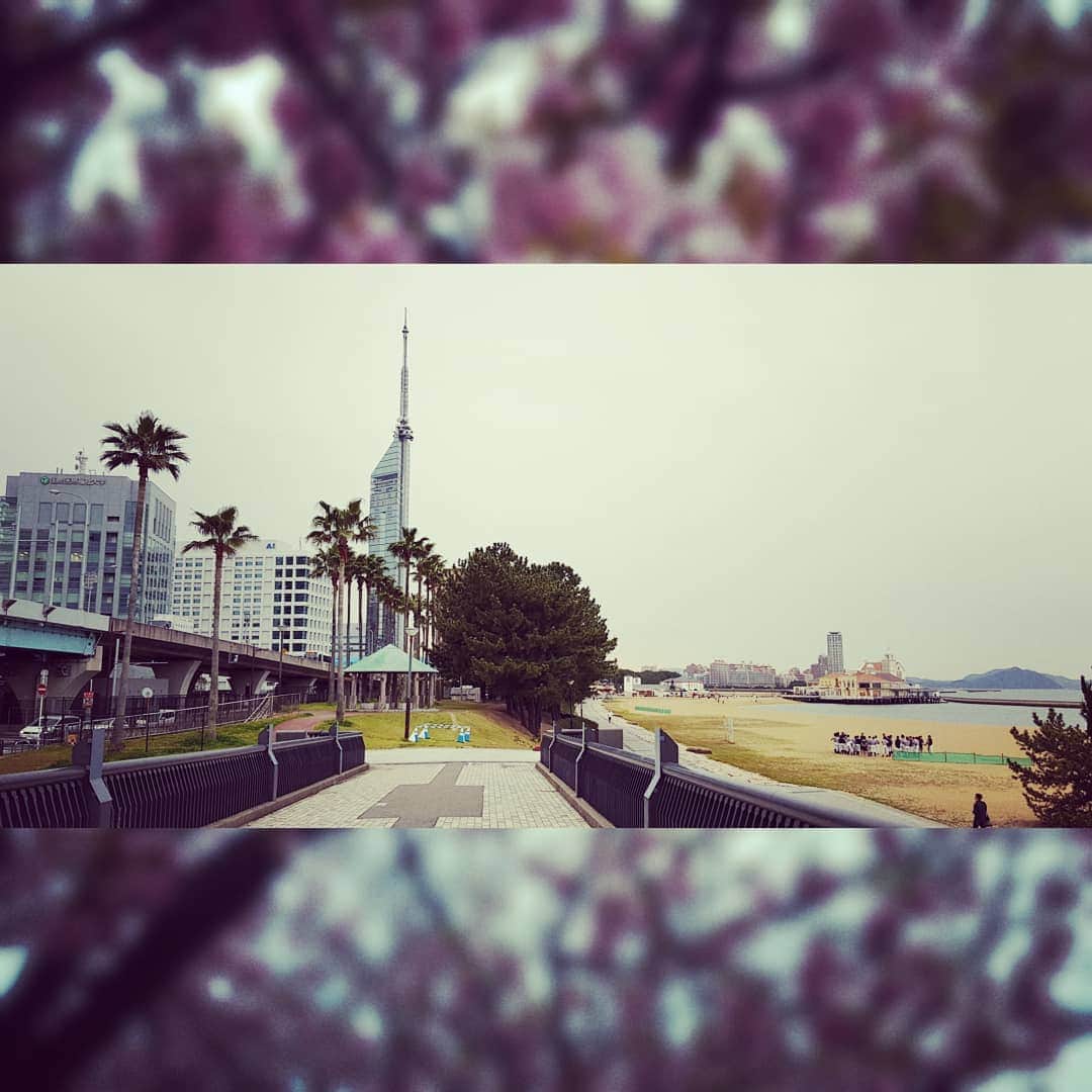 のインスタグラム：「Fukuoka, here we are!!!! 😍🤗👍🌸 #fukuoka #japan #🇯🇵 #worldteamtrophy #WTT2019 #isufigureskating #isu #figureskating #icedance #teamitaly🇮🇹」