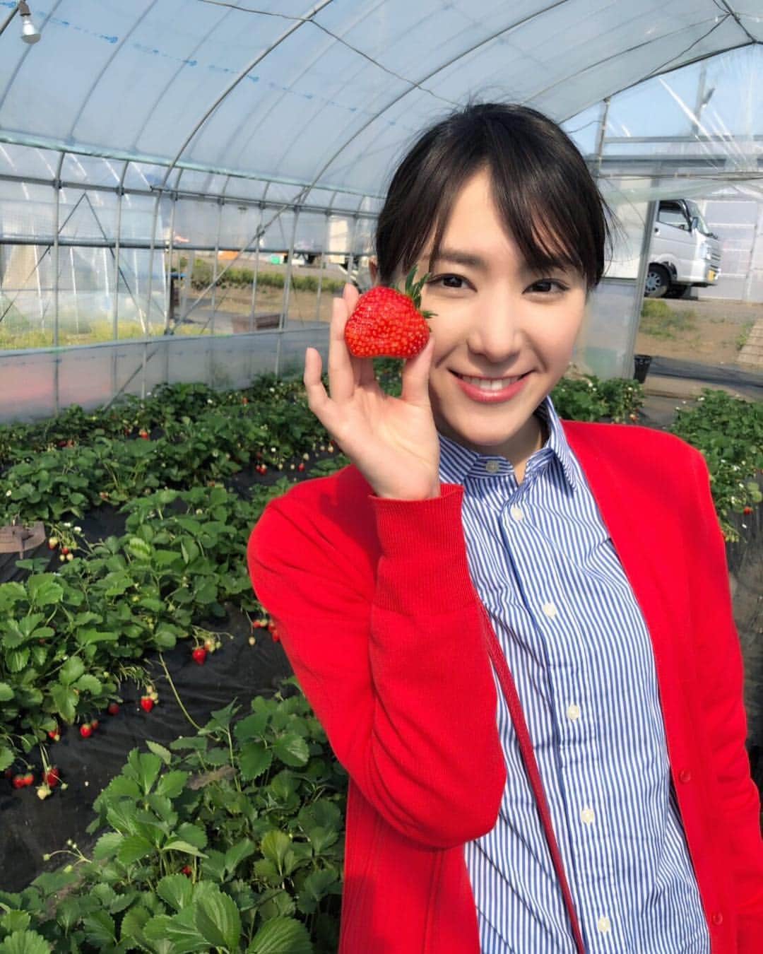 白井ゆかりのインスタグラム