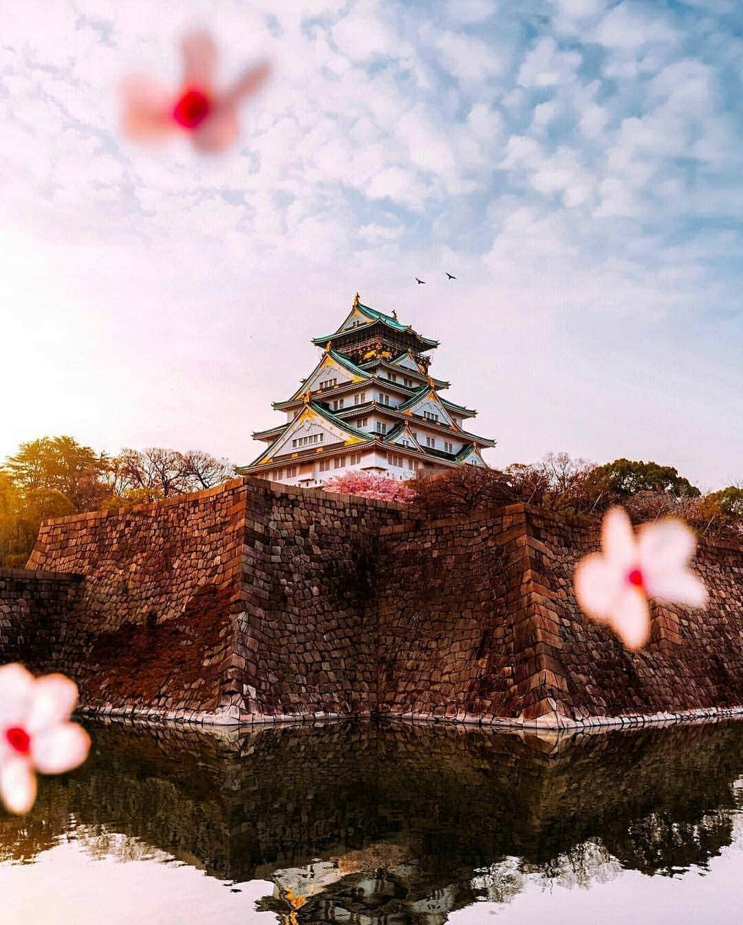 Discover Earthさんのインスタグラム写真 - (Discover EarthInstagram)「It is finally here ! The best time of the year to visit Japan is finally back, how amazing it is to be able to witness so much beauty at once ? 🇯🇵🌸 Is visiting Japan on your bucket list ? Who would you go with ? — 📍#DiscoverJapan — 📸 Photos by @jamesrelfdyer ​」4月9日 18時59分 - discoverearth