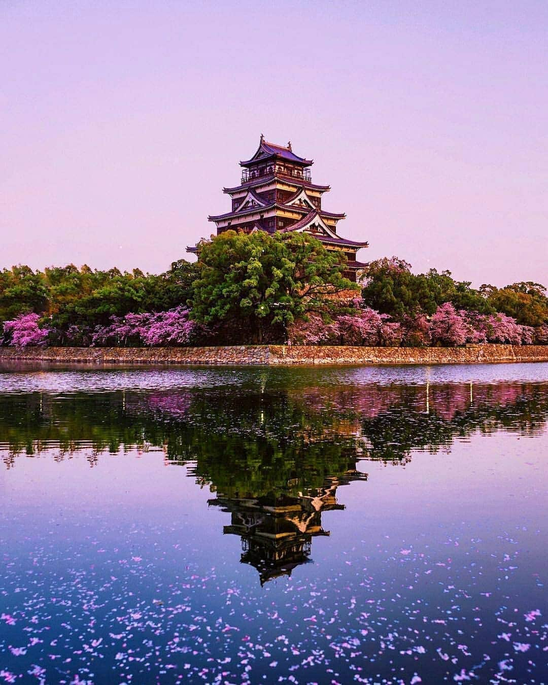 Discover Earthさんのインスタグラム写真 - (Discover EarthInstagram)「It is finally here ! The best time of the year to visit Japan is finally back, how amazing it is to be able to witness so much beauty at once ? 🇯🇵🌸 Is visiting Japan on your bucket list ? Who would you go with ? — 📍#DiscoverJapan — 📸 Photos by @jamesrelfdyer ​」4月9日 18時59分 - discoverearth