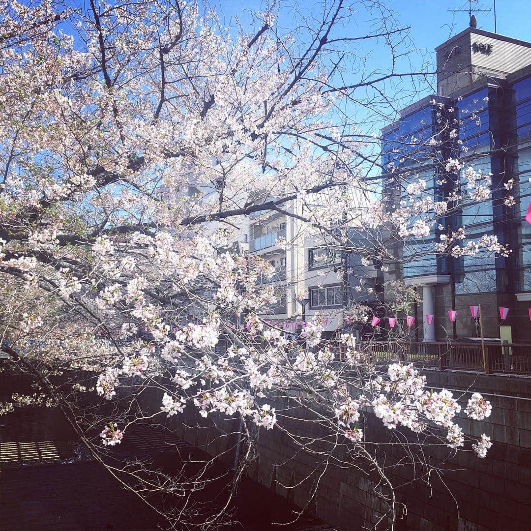 azumiのインスタグラム：「ラストかしら🌸」