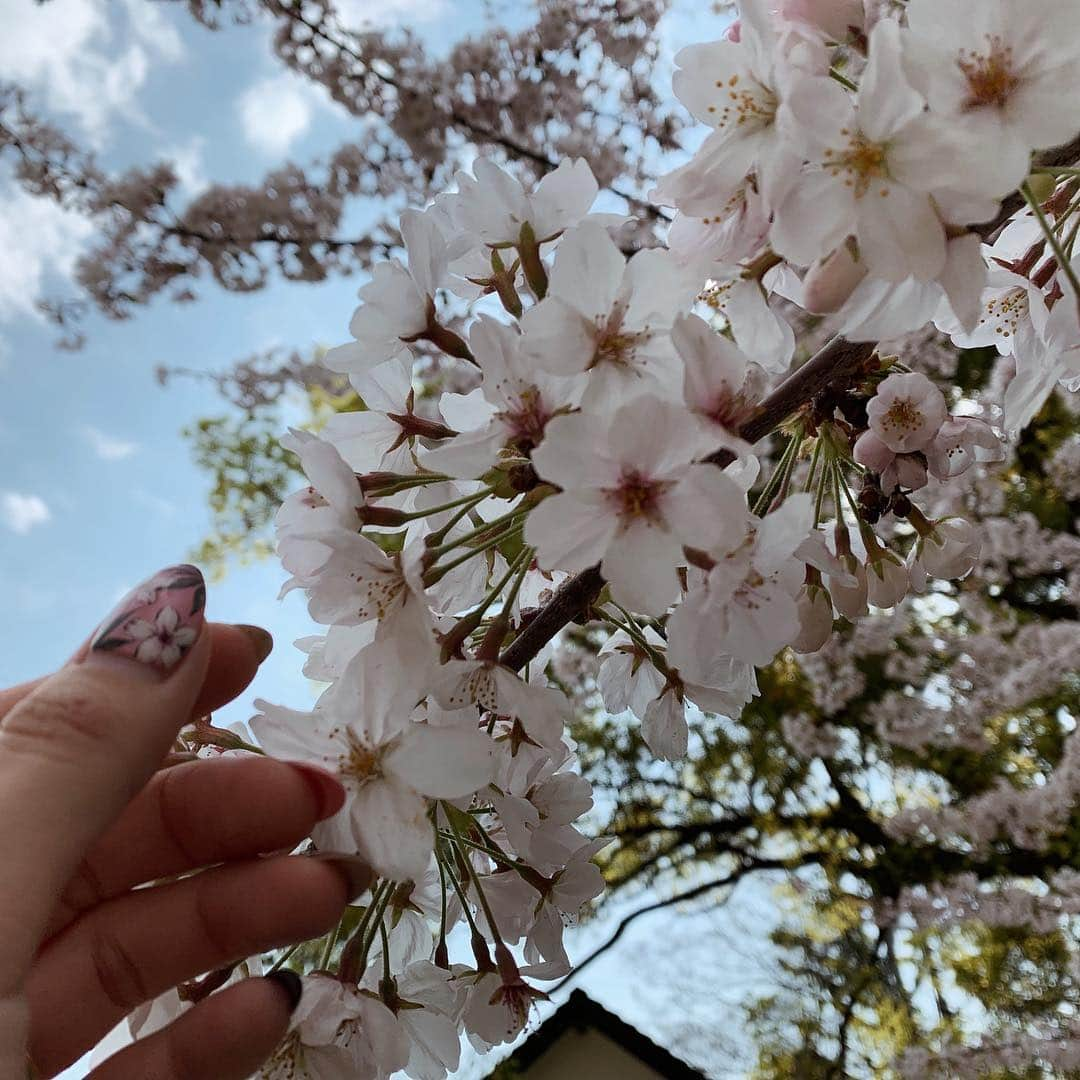 疋田星奈さんのインスタグラム写真 - (疋田星奈Instagram)「桜🌸綺麗だったー✨ この時期は気候もいいし (風だけほんとに強いけどw) 夏に向かう季節だから好き♡ まぁでも結局夏が好き🌴🌺w そして終始花より団子な私w . . #花見 #お花見 #桜 #散歩 #休日の過ごし方 #岡崎城 #疋田星奈」4月9日 10時06分 - seina.91