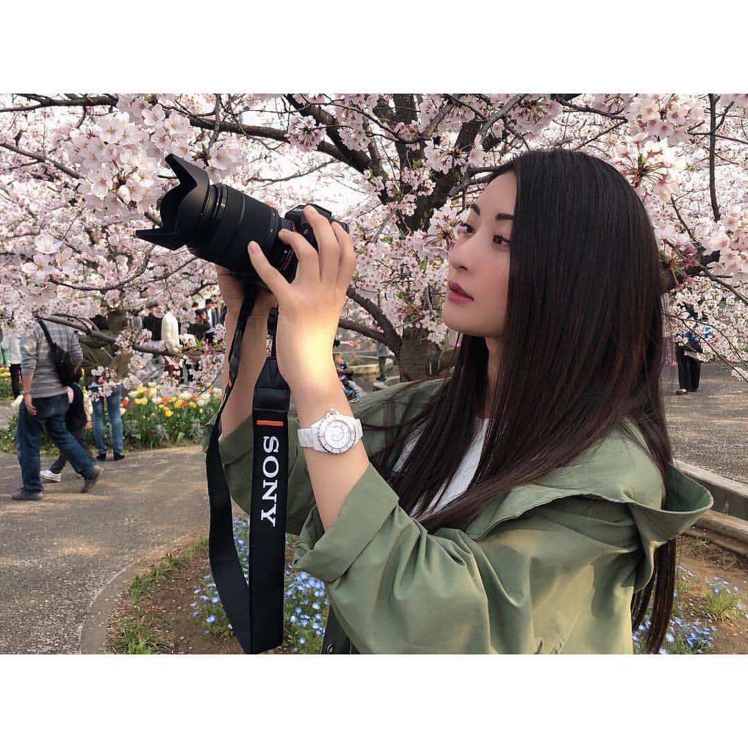 繭さんのインスタグラム写真 - (繭Instagram)「ㅤㅤㅤ ㅤㅤㅤ カメラ女子はじめました📷 桜が綺麗なうちに撮れてよかった🌸 ㅤㅤㅤ #followme #followmejp #followjp」4月9日 10時13分 - mayumayu1008