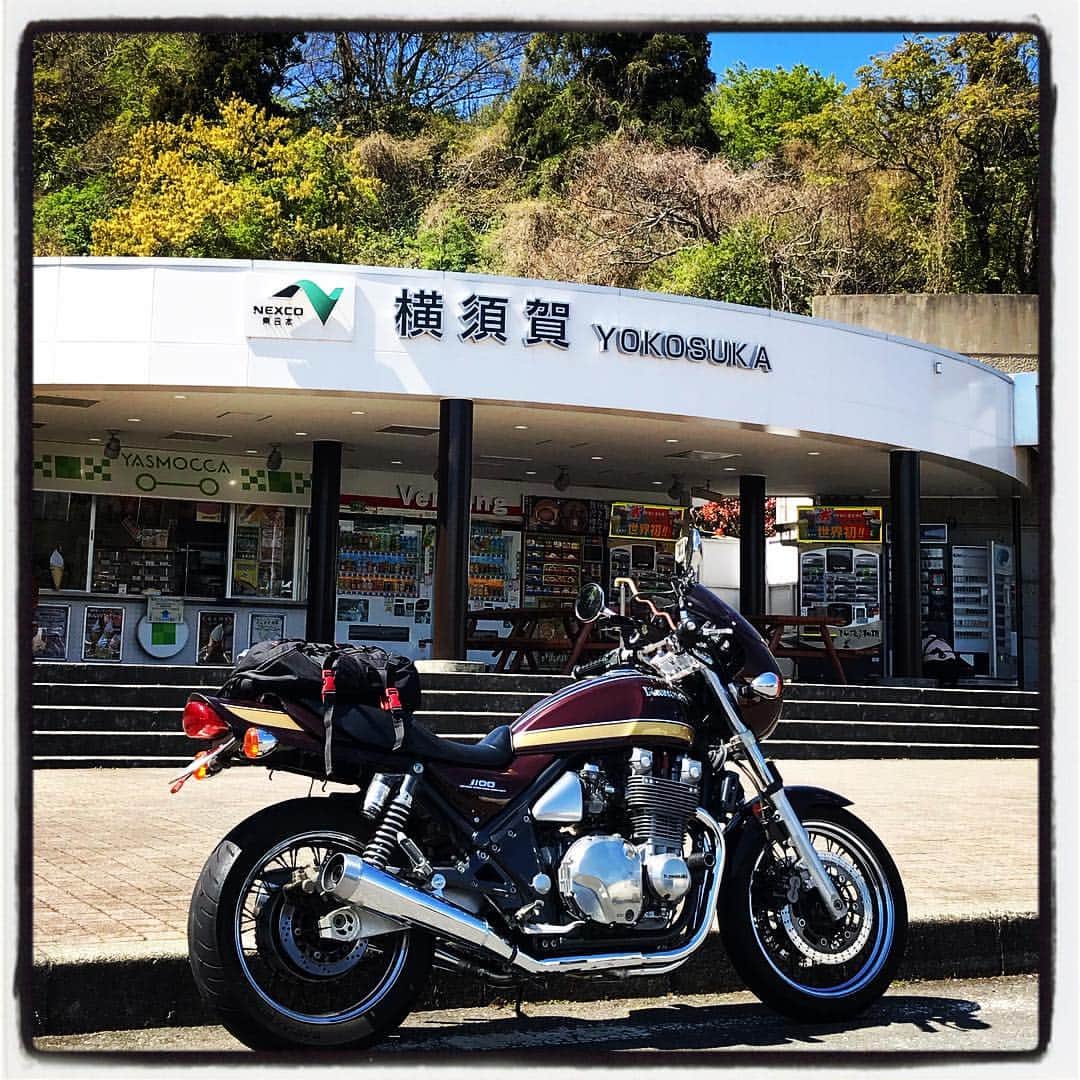 本間大嗣のグルメインスタ