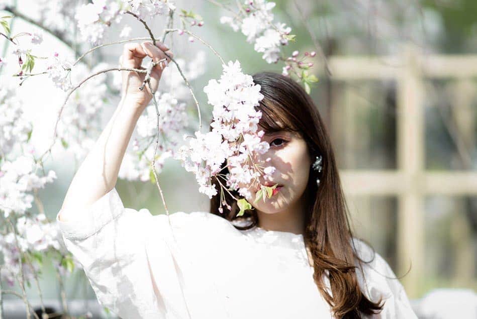 中村かなさんのインスタグラム写真 - (中村かなInstagram)「昨日の🌸🌸🌸 ： ： 📸 @takamidou ： ： ： ： #自慢の地元 #日本の風景  #日本の四季 #桜撮影 #お花と撮影大好き #桜ポートレート #さくら #🌸 #sakura #写真好きな人と繋がりたい #カメラ好きな人と繋がりたい #カメラマンさんと繋がりたい #東京カメラ部 #名古屋カメラ部 #ポートレート #ポートレートしま専科 #ファインダー越しの私の世界 #tokyocameraclub #ig_japan #instagood #portrait_ig #pic_art #ig_gallery #art_of_japan_ #pics_jp #nagoyacameragirls #lovers_nippon_portrait」4月9日 10時37分 - k777pime