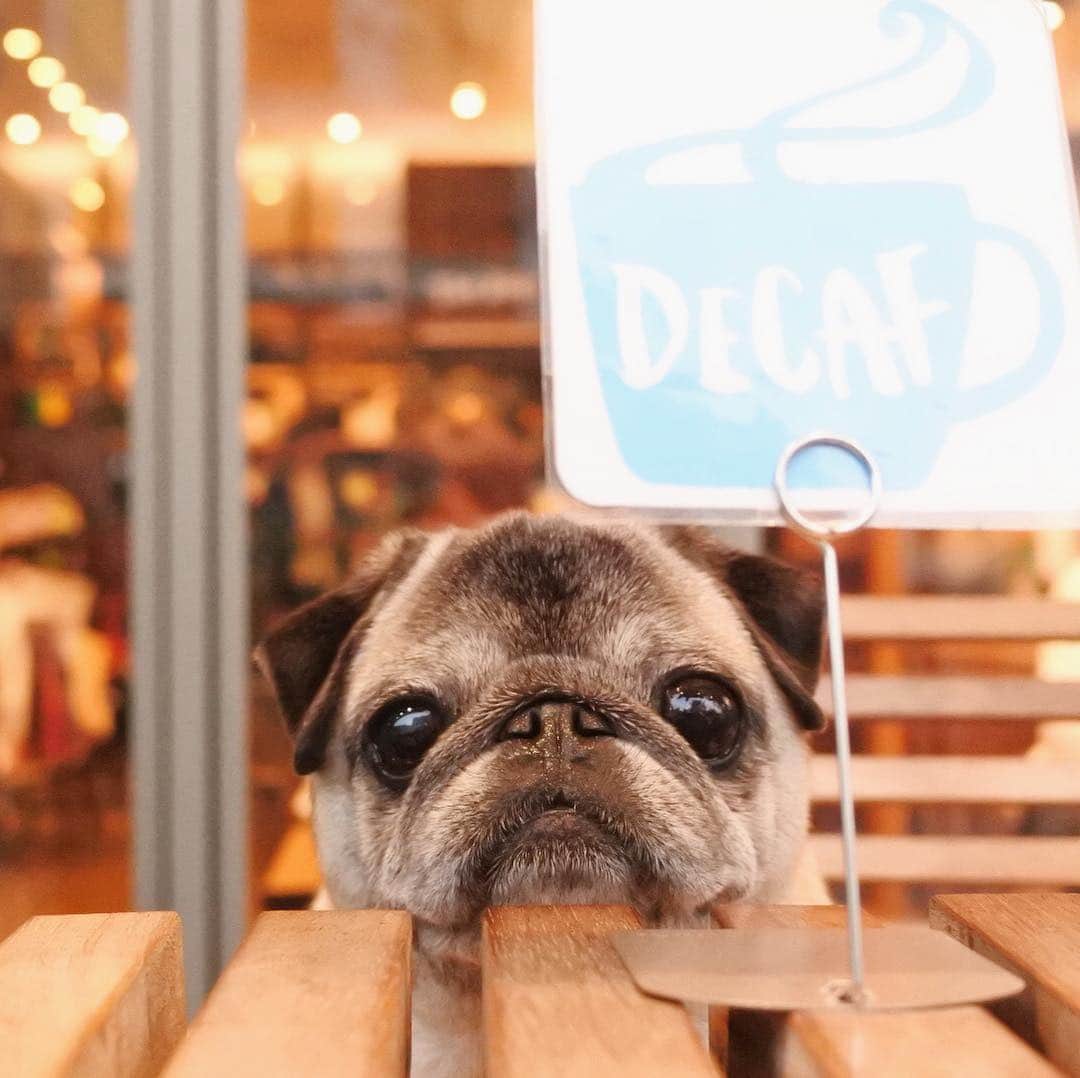 八兵衛のグルメインスタ