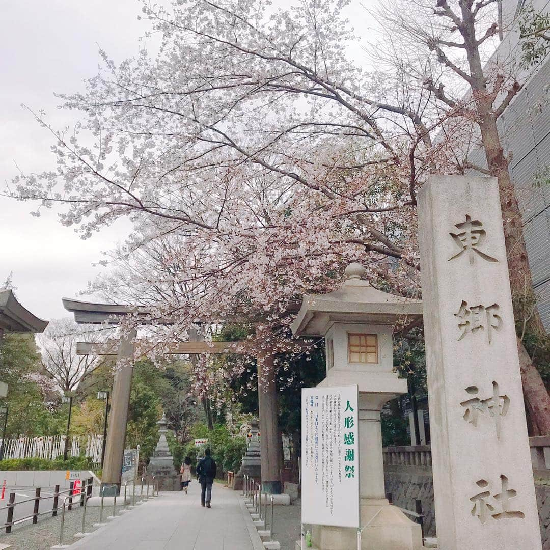 うちやえゆかさんのインスタグラム写真 - (うちやえゆかInstagram)「桜🌸ひらひら さらさら 終わってしまう前に、 のせておこう❀.(*´▽`*)❀. #桜 #原宿 #東郷神社 #庭園 #池 #鯉 #japan #もし #私が #鯉に #生まれ変わったら  #どんな #人生 #だった #とか #思ったり  #Rabbids #ラビッツ #会いに #竹下通り #harajuku #はらとも」4月9日 10時53分 - yukauchiyae