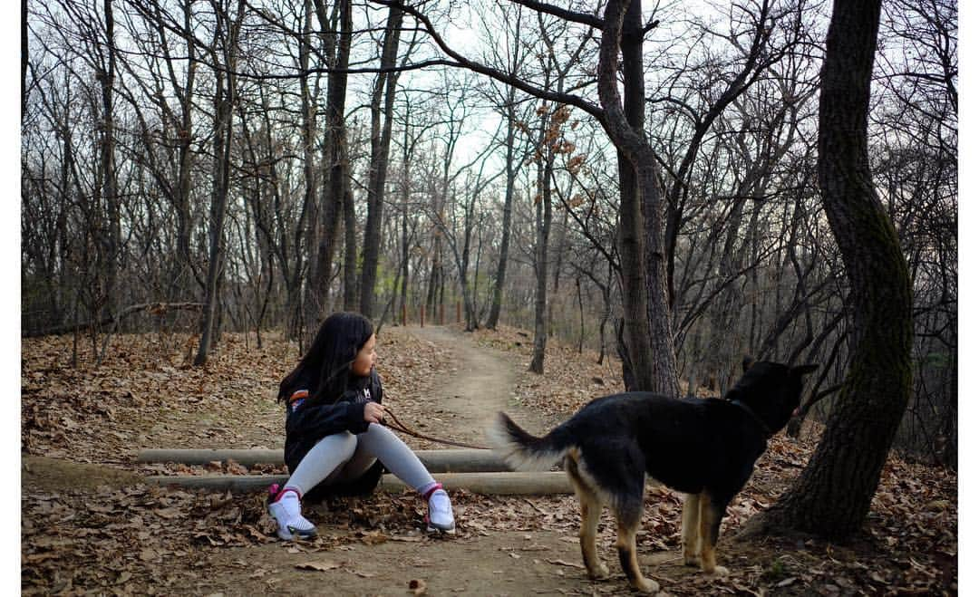 ユン・ヘジンさんのインスタグラム写真 - (ユン・ヘジンInstagram)「친구들🐾 진돌 새봄 가락 단이🐕」4月9日 10時49分 - hjballet80