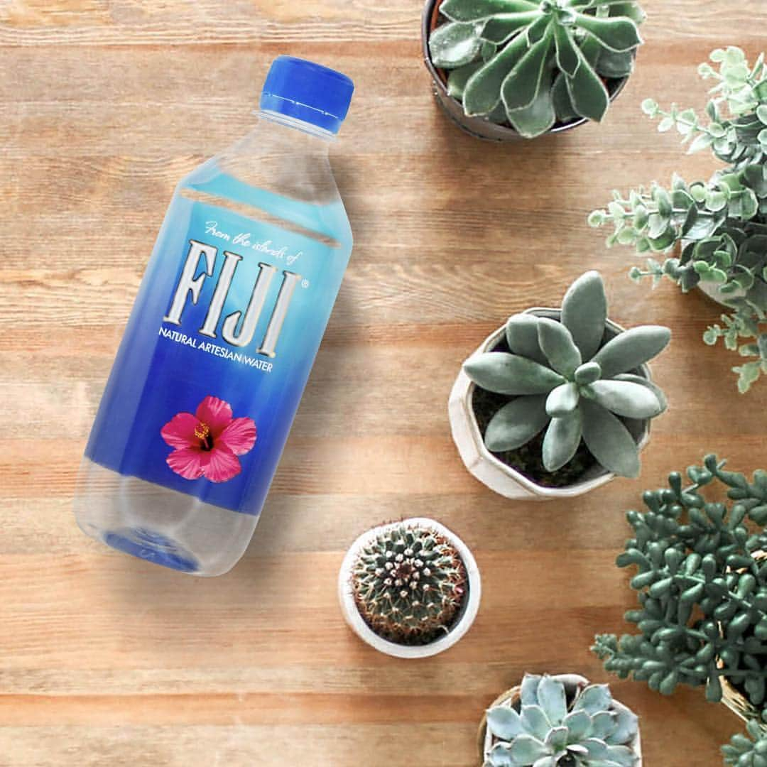 FIJIWaterJapanさんのインスタグラム写真 - (FIJIWaterJapanInstagram)「緑とフィジーウォーターがある生活🌿💧🌱💧🍃💧 . #fijiwater #フィジーウォーター #グリーン #green #緑のある生活 #ミネラルウォーター #水分補給 #lifewithfijiwater #earthsfinest #water」4月9日 11時10分 - icelandicglacialjp