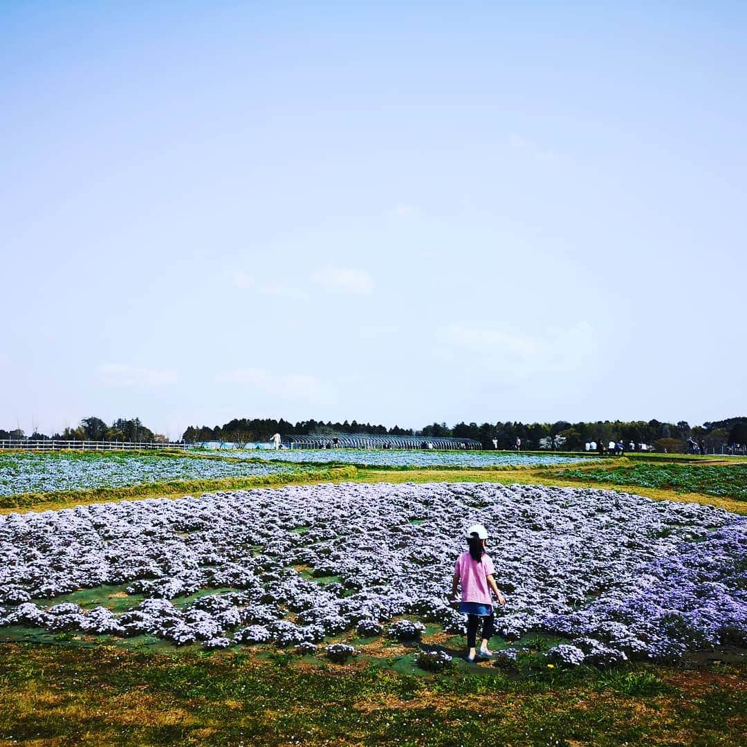 蛯原英里さんのインスタグラム写真 - (蛯原英里Instagram)「苺狩りの後は近くに芝桜で有名な公園へ🌸芝桜もきれいで癒されましたー！そして、その後食べたきなこのお団子も美味しかった！ 花より団子ですね（笑） お天気も良く最高でした😊  #spring #芝桜 #春#大好き#flowers #famous #park」4月9日 11時12分 - eriebihara