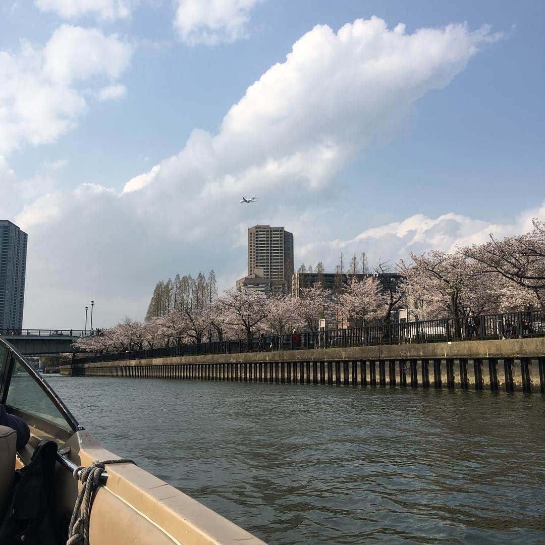 水谷千重子さんのインスタグラム写真 - (水谷千重子Instagram)「今年一番見頃にお花見クルーズしてまいりました🌸🌸 贅沢なお花見🧝‍♀️ 大阪の川からみる景色😌 素敵でしたわ！ また来年ねっ🌸」4月9日 11時06分 - mizutanichieko