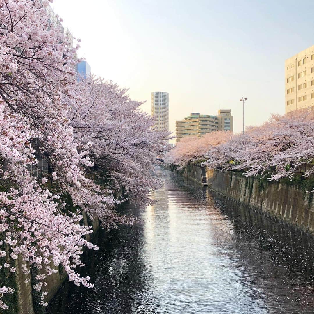 SAYUKIのインスタグラム