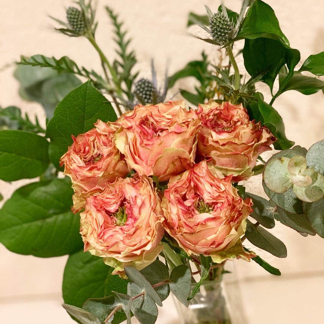 吉田美紀さんのインスタグラム写真 - (吉田美紀Instagram)「・ さすが『世界の花屋』さん。 ・ 希少な素敵な薔薇ばかりでうっとり…🌹 ・ 母の日も近いしこんなバラを送ってあげたら きっと凄く喜んでくれるだろうな… ・ @sekainohanaya  こんなお洒落でこだわりに溢れたお花屋さん、 素敵すぎる…♡ ・ ・ #rose #flower #flowers #flowershop #バラ #薔薇 #花屋 #世界の花屋」4月9日 11時16分 - miki__yoshida