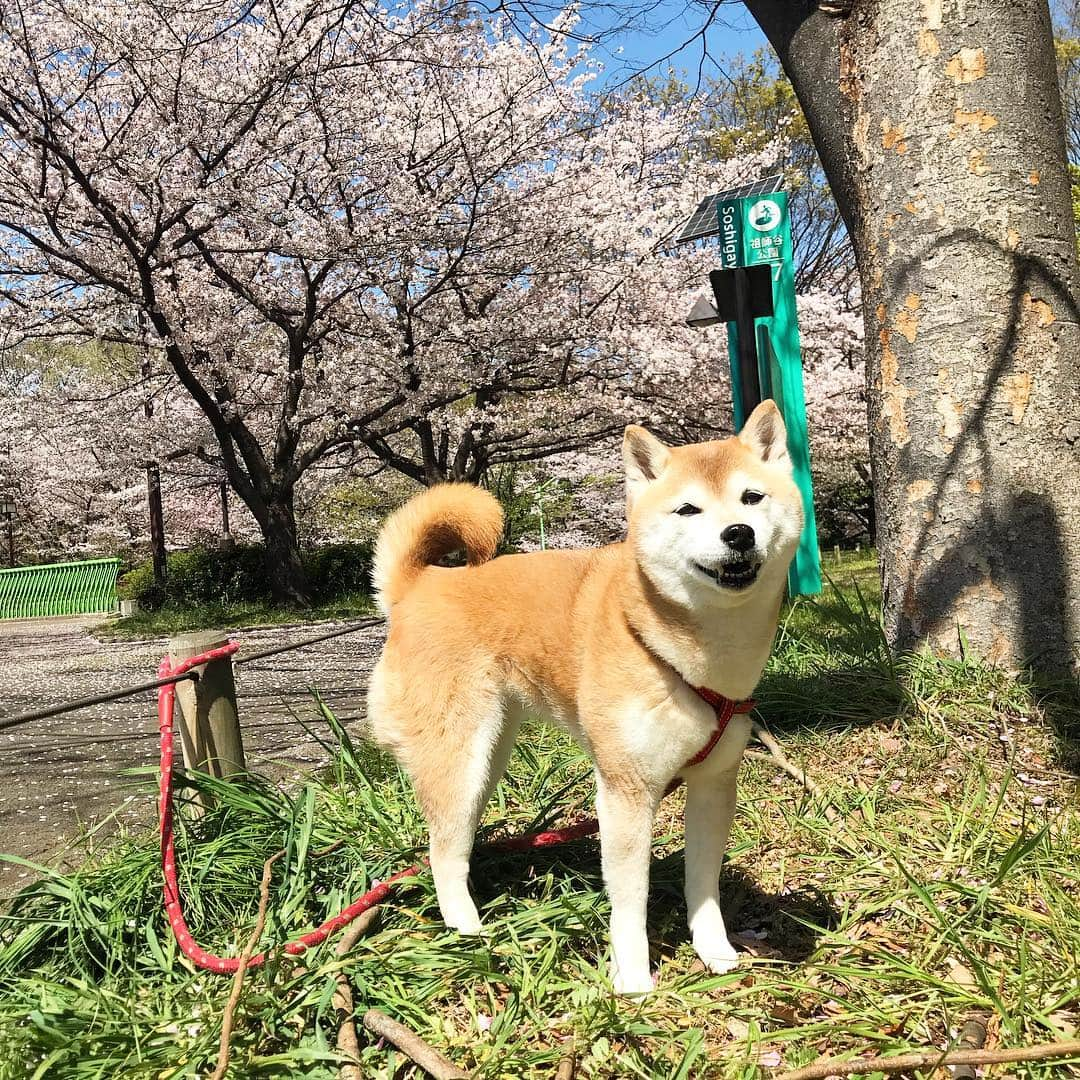 名倉右喬のインスタグラム