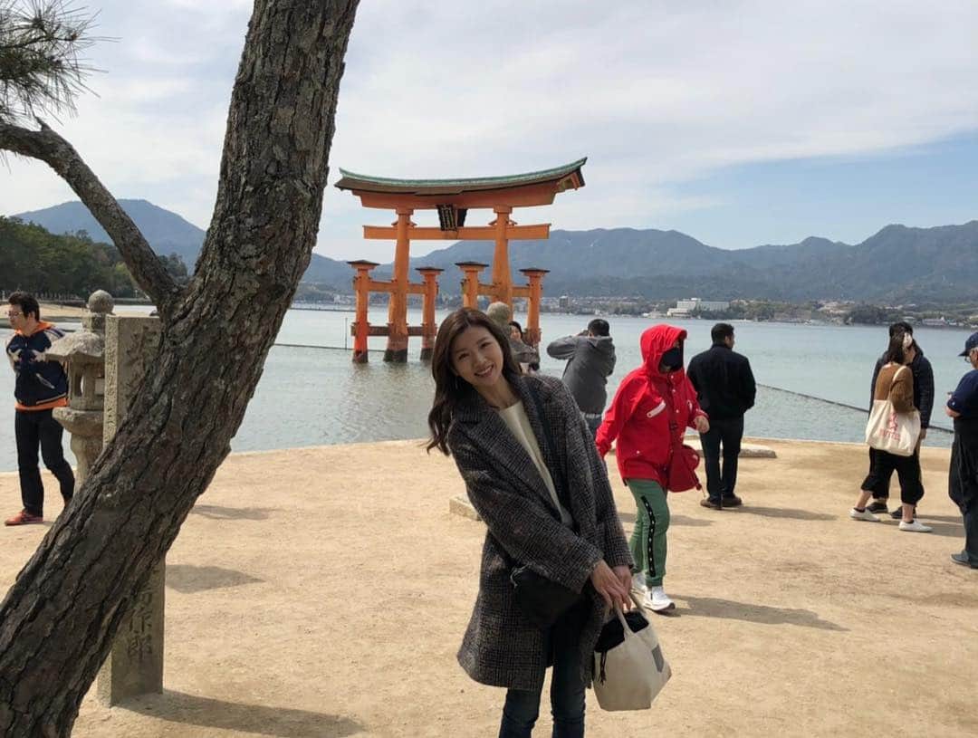 赤谷奈緒子さんのインスタグラム写真 - (赤谷奈緒子Instagram)「あっという間で短すぎたけど広島帰省😌💕 . #広島 #宮島 #厳島神社 #⛩ #1年に一度は行きたい  #桜も満開🌸  #楽しかったなー♡  #この日は20,000歩も歩いてたよ🚶‍♀️🚶‍♀️ . #毎日が一瞬で過ぎていく🙍」4月9日 11時37分 - naokoakatani