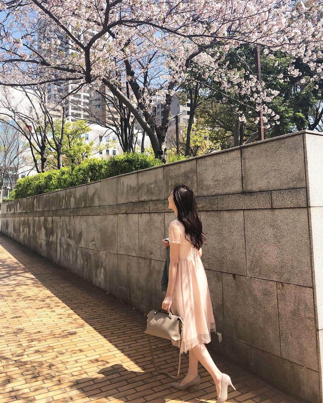 のインスタグラム：「🌸🌸🌸 、 op. @chesty_official  bag. @fendi  shoes. @pippichic_official 、 、 #cherryblossom#sakura#pink #code#coordinate#chesty#love」