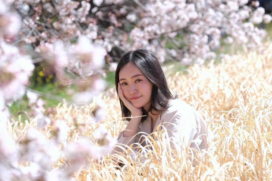 江守沙矢さんのインスタグラム写真 - (江守沙矢Instagram)「画像でお花見気分 🌸第1弾  桜の時期になると出かけたくなります。 花粉症さえなければ最強の季節。 明日はまた冷え込むようなのでみなさん気をつけてね。. . . 2kmに渡って土手にある桜は圧巻。 . . 菜の花と桜のスポットもあります。 毎年いろんな人を連れて行きたくなる場所。 熊谷てちょっと遠いけど、新宿から乗り換えなしで1時間、電車でいけるスポットにこの桜の規模ってなかなか無いと思う。 . . . . .  #熊谷桜堤 #日本桜100選 #日本さくら名所100選  #桜 #sakura #平成最後の桜 #日本の桜 #spring #springflower #springday #springwatch #kumagaya #ポートレート #portrait #spring #springflower  #japanspring #japanesegirl  #お花見 #土手の桜 #ピクニック #インスタ映え #さくら #春 #spring #photo #photography #江守沙矢　　#jalan_sakura2020」4月9日 12時10分 - saya_emori