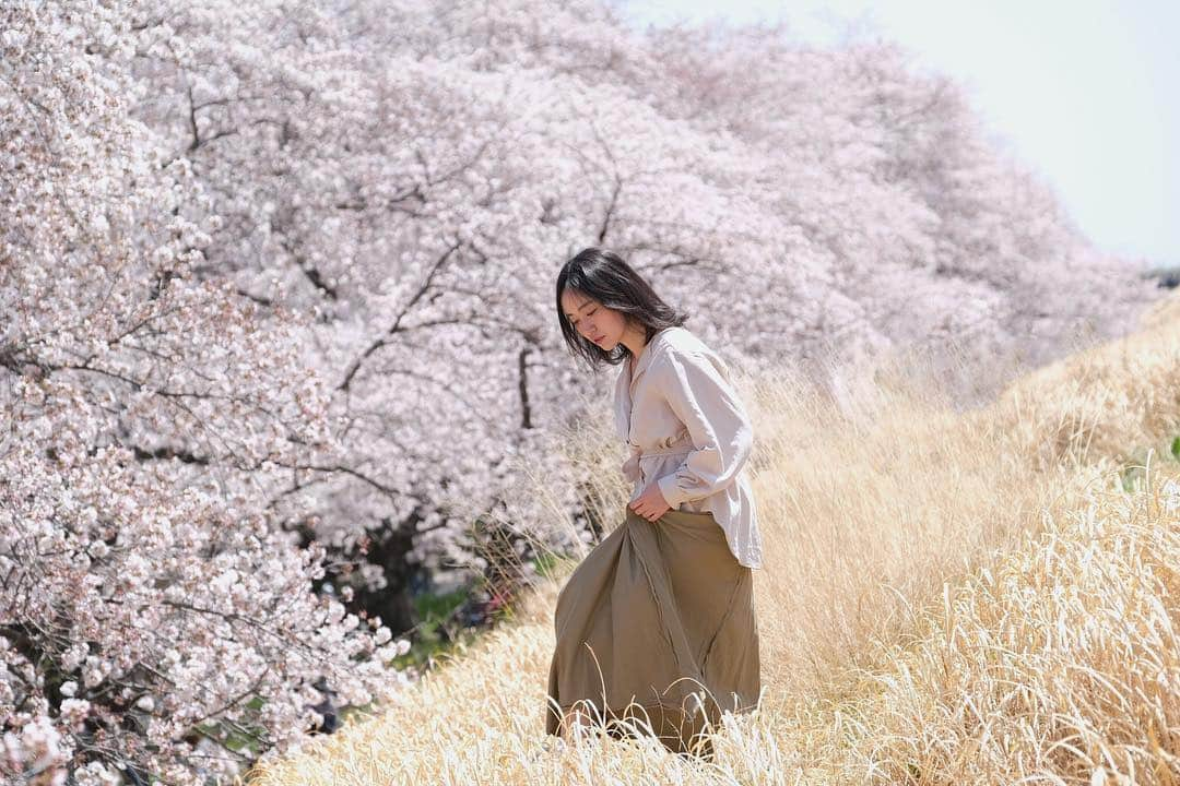 江守沙矢さんのインスタグラム写真 - (江守沙矢Instagram)「画像でお花見気分 🌸第1弾  桜の時期になると出かけたくなります。 花粉症さえなければ最強の季節。 明日はまた冷え込むようなのでみなさん気をつけてね。. . . 2kmに渡って土手にある桜は圧巻。 . . 菜の花と桜のスポットもあります。 毎年いろんな人を連れて行きたくなる場所。 熊谷てちょっと遠いけど、新宿から乗り換えなしで1時間、電車でいけるスポットにこの桜の規模ってなかなか無いと思う。 . . . . .  #熊谷桜堤 #日本桜100選 #日本さくら名所100選  #桜 #sakura #平成最後の桜 #日本の桜 #spring #springflower #springday #springwatch #kumagaya #ポートレート #portrait #spring #springflower  #japanspring #japanesegirl  #お花見 #土手の桜 #ピクニック #インスタ映え #さくら #春 #spring #photo #photography #江守沙矢　　#jalan_sakura2020」4月9日 12時10分 - saya_emori