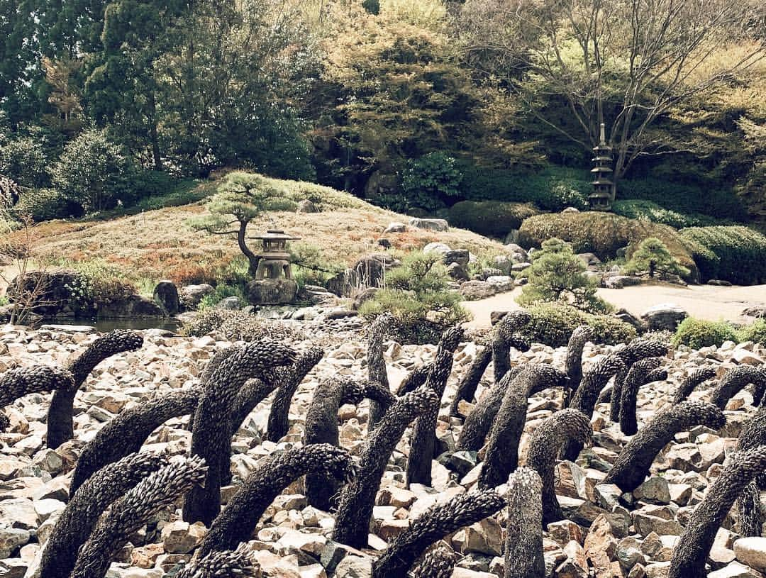 三浦大地さんのインスタグラム写真 - (三浦大地Instagram)「凄い場所に来た。  禅寺の神勝寺。  ここは禅と庭のミュージアムという名前で寺の敷地内にはこんなアートがある。  この船のような建物は禅をテーマにした一つのアート。  この建物の中は何も見えない真っ暗闇で一体何が起こるのかわからない。  ペンライトを頼りに席に座り、扉が閉ざされると始まる「何か」。 言葉では説明しずらい。  僕は何の感情かも解らない涙が溢れてきた。  ただ、ここを出た後の生の幸福感と穏やかさはとても気持ちよかった。  是非、この「何か」体感して欲しい。  禅への入り口。  #禅と庭のミュージアム #神勝寺 #広島 #名和晃平 #洸庭」4月9日 12時21分 - daichi_1127