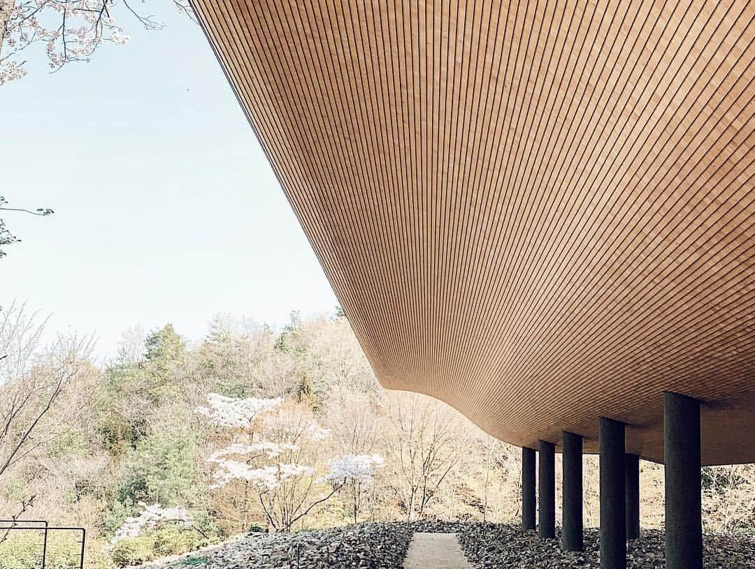 三浦大地さんのインスタグラム写真 - (三浦大地Instagram)「凄い場所に来た。  禅寺の神勝寺。  ここは禅と庭のミュージアムという名前で寺の敷地内にはこんなアートがある。  この船のような建物は禅をテーマにした一つのアート。  この建物の中は何も見えない真っ暗闇で一体何が起こるのかわからない。  ペンライトを頼りに席に座り、扉が閉ざされると始まる「何か」。 言葉では説明しずらい。  僕は何の感情かも解らない涙が溢れてきた。  ただ、ここを出た後の生の幸福感と穏やかさはとても気持ちよかった。  是非、この「何か」体感して欲しい。  禅への入り口。  #禅と庭のミュージアム #神勝寺 #広島 #名和晃平 #洸庭」4月9日 12時21分 - daichi_1127