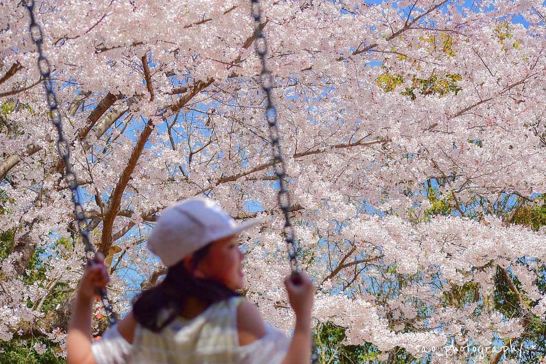 のインスタグラム：「こんにちは😊 現在、「春」をテーマにお写真・動画を募集中です✨ 本日の #タビスルキッズ はこちら💕 📷 @sao_cce_さん 🚩 山口県・「桑山公園」 🎙ご本人コメント 今年はお花見ブランコ🌸 ＊＊＊＊＊＊ #ブランコ越しの世界 って感じでステキですね！ いつも、ステキなお写真ありがとうございます💕」