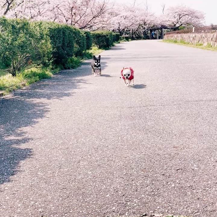 山田佳子のインスタグラム