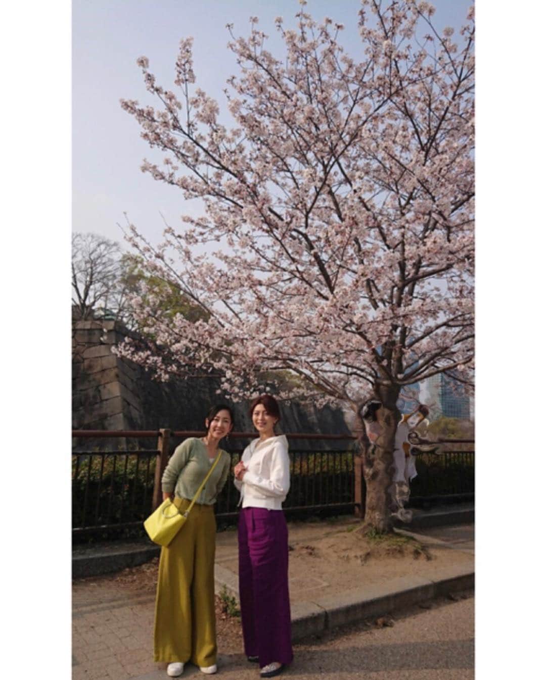 塚田文さんのインスタグラム写真 - (塚田文Instagram)「大阪の桜パート③  旦那さんとの旅行帰りに時間を作ってくれた友人😭💕 合流場所で大きなミスを犯す。  大阪城公園の園内で合流するのは至難の業😰 “天守閣入り口の前”か日本軍の司令部だった建物“MIRAIZA OSAKA-JO”と言った明確な建物の前で待ち合わせしましょう。😅 大阪をアテンドするにはまだまだ修行の身。  来てくれる友人たちが次々と犠牲になりながら、私の学びが深くなるのであった☠️💦 前にもあったな… 新大阪駅へ行く友人に地下鉄“御堂筋線”から大阪駅でJRに乗換えさせたとか…😱💥(※御堂筋線でそのまま新大阪へ行けます。（笑）💦) もとい…  大阪城も桜大満開でした！  帰りは南森町で各地の陶芸作家さんの器でお茶が楽しめるカフェへ。  1人じゃなかなかカフェ巡りもしないので、行って見たかったお店に行けて良かった🤗✨ #2019桜 #大阪 #大阪城公園 #南森町カフェ #cafe大阪茶会  #japantrip #japantravel #cherryblossom #osakacastle #osakajo #macchacafe #minamimorimachi」4月9日 12時25分 - tsukadaaya1976