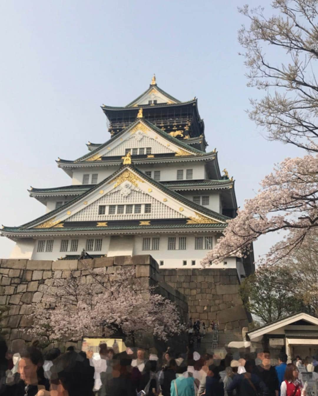 塚田文さんのインスタグラム写真 - (塚田文Instagram)「大阪の桜パート③  旦那さんとの旅行帰りに時間を作ってくれた友人😭💕 合流場所で大きなミスを犯す。  大阪城公園の園内で合流するのは至難の業😰 “天守閣入り口の前”か日本軍の司令部だった建物“MIRAIZA OSAKA-JO”と言った明確な建物の前で待ち合わせしましょう。😅 大阪をアテンドするにはまだまだ修行の身。  来てくれる友人たちが次々と犠牲になりながら、私の学びが深くなるのであった☠️💦 前にもあったな… 新大阪駅へ行く友人に地下鉄“御堂筋線”から大阪駅でJRに乗換えさせたとか…😱💥(※御堂筋線でそのまま新大阪へ行けます。（笑）💦) もとい…  大阪城も桜大満開でした！  帰りは南森町で各地の陶芸作家さんの器でお茶が楽しめるカフェへ。  1人じゃなかなかカフェ巡りもしないので、行って見たかったお店に行けて良かった🤗✨ #2019桜 #大阪 #大阪城公園 #南森町カフェ #cafe大阪茶会  #japantrip #japantravel #cherryblossom #osakacastle #osakajo #macchacafe #minamimorimachi」4月9日 12時25分 - tsukadaaya1976