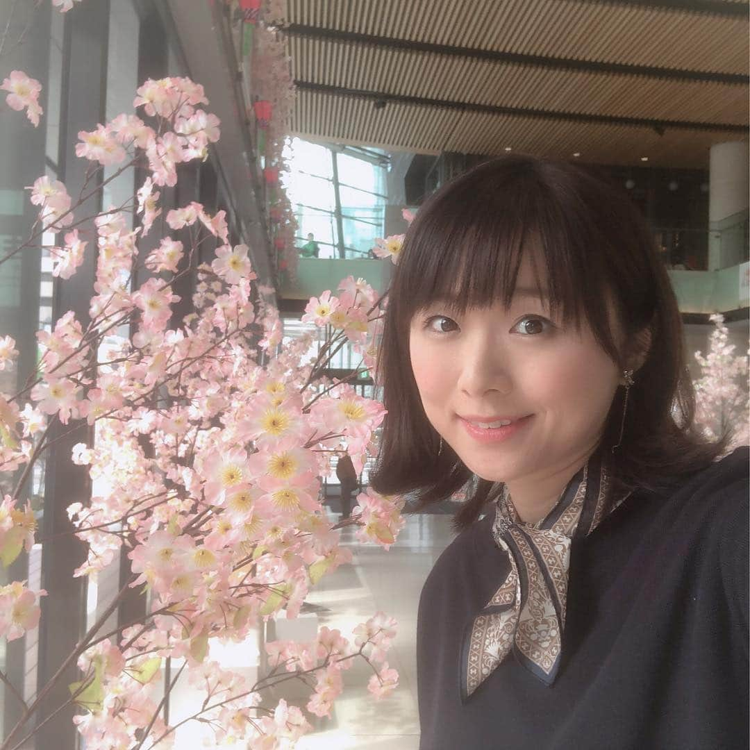 今井美穂さんのインスタグラム写真 - (今井美穂Instagram)「一昨日の深夜🌙﻿ なかなか息子が寝ないので、授乳しながら終わったばかりの選挙結果を見てました🤣﻿ ﻿ 今回の選挙の投票率﻿ 前回をわずかに上回ったとはいえ50%以下。﻿ 僅差で落ちてしまった方もいるので、もっと投票に行く人が多かったらと思うと悔しい思いをされてると思います💦﻿ ﻿ 政治はよく分からないといって、無関心でいることはいずれ自分たちにツケが回ってきちゃう。﻿ 自分たち住民の代表を選んでいるという意識をちゃんと持って、選んだことにも、選ばなかったことにも責任を持たなきゃいけないと思います。﻿ ﻿ ﻿ 女性県議も3名から6名に増え過去最高と出ていましたが、とはいえ53名中の6名。やっぱり日本の女性の政治参画は遅れてるんですよね😥﻿ 女性が直面する社会問題が溢れてるのにこの少なさは残念です。﻿ ﻿ 今回新しく決まった県議市議の皆さまには期待を込めて今後の活動を見守っていきたいと思います🙇‍♀️﻿ ﻿ 女性が抱える身近な問題に対して﻿ 自分の意見を持ち、臆せずに表現できることが自立した女性だと思います😊✨﻿ 政治家だけじゃなく﻿ そういった女性が増えていけばもっと暮らしやすく良い社会になるんじゃないかなと。﻿ ﻿ 私もそうなれるように勉強しなきゃなー🤣﻿ ﻿ 育児や仕事で手一杯で新聞やテレビを見る暇がなくて誰に投票したら良いか分からないとか多いですよね。﻿ SNSでもっと気軽に全候補者の情報が見れればよいはとかスマホで投票が出来たらいいなとか思うことは沢山あります😂﻿ ﻿ こども達が大きくなるころに今よりももっと良い環境を作れるようにしっかりと考えていかなきゃですね。﻿ ﻿ #選挙のこと﻿ #投票率の低さにびっくり﻿ #安心して暮らせる社会を作るために﻿ #自分が出来ることはなんだろう」4月9日 12時38分 - imaimiho1209