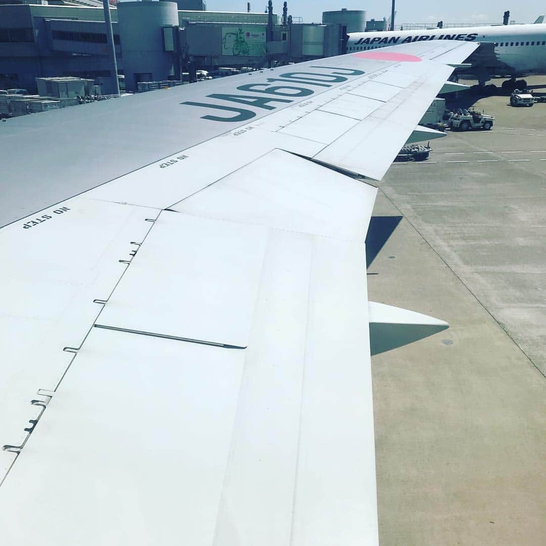 のインスタグラム：「バイバイ👋」